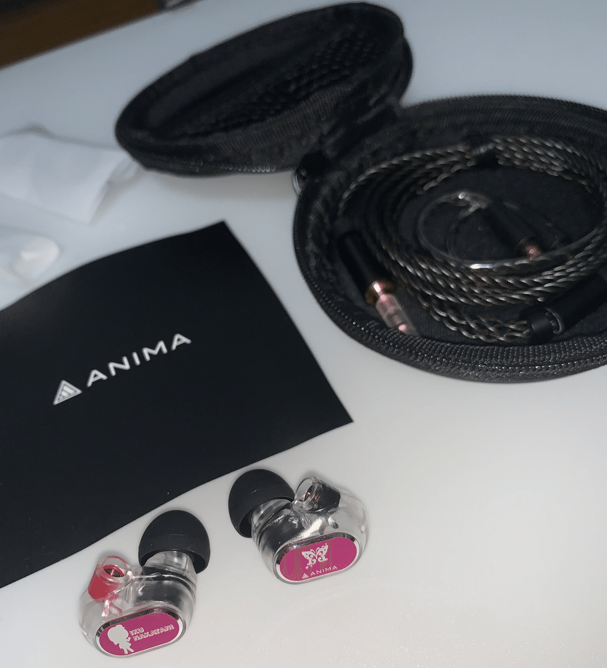 学マスはまってオーディオはまった人の買ったもの 2025｜赤月