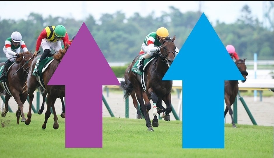 ナチュラルライズ 馬券 カトレアステークス 現地的中馬券 直筆