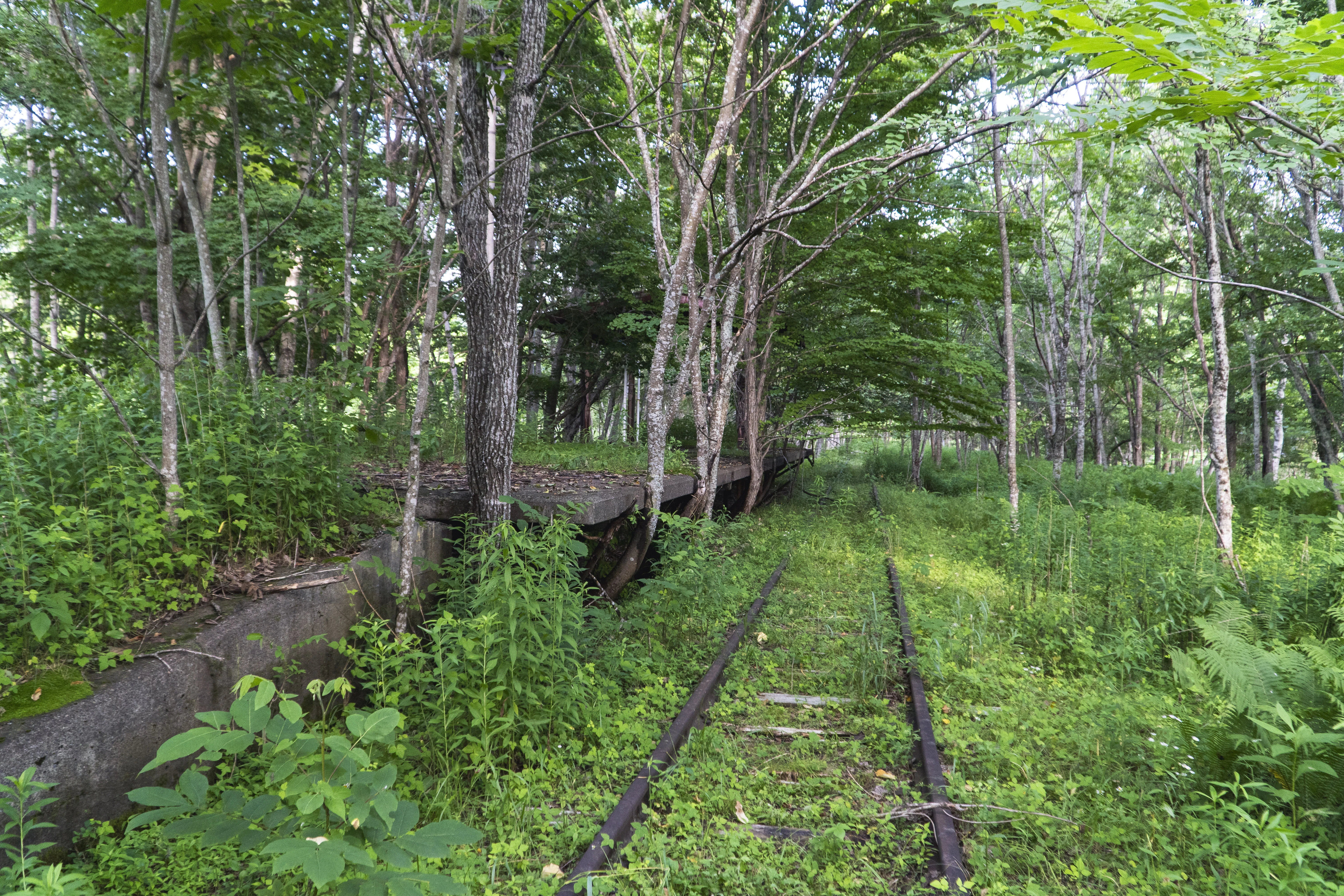風来梨のブログ 遺されしものに、会いに行く（前編・鉄道編） 上茶路 