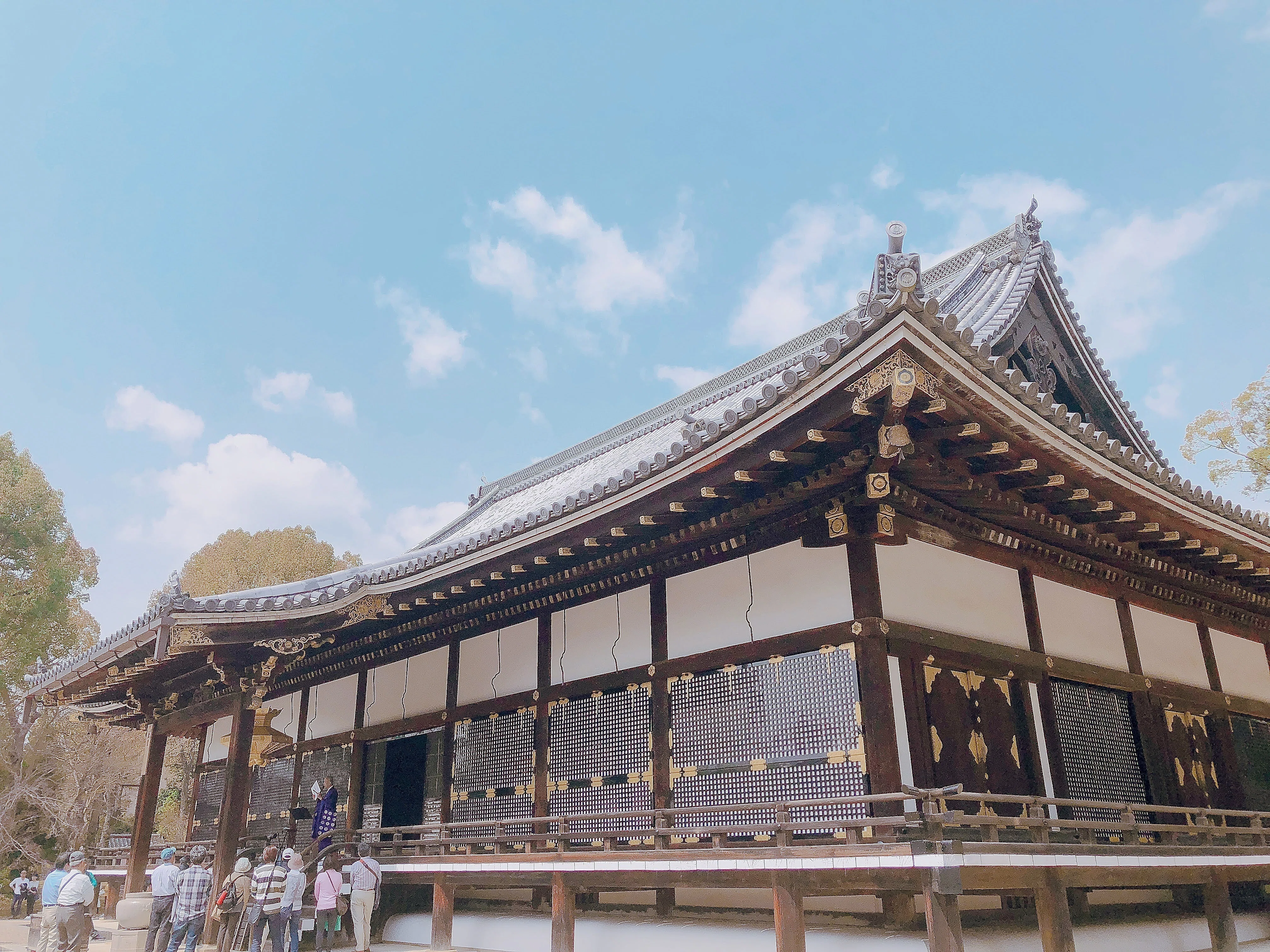京都市右京区 国宝「御室仁和寺・御室桜・金堂」｜地域文化ライター研究生