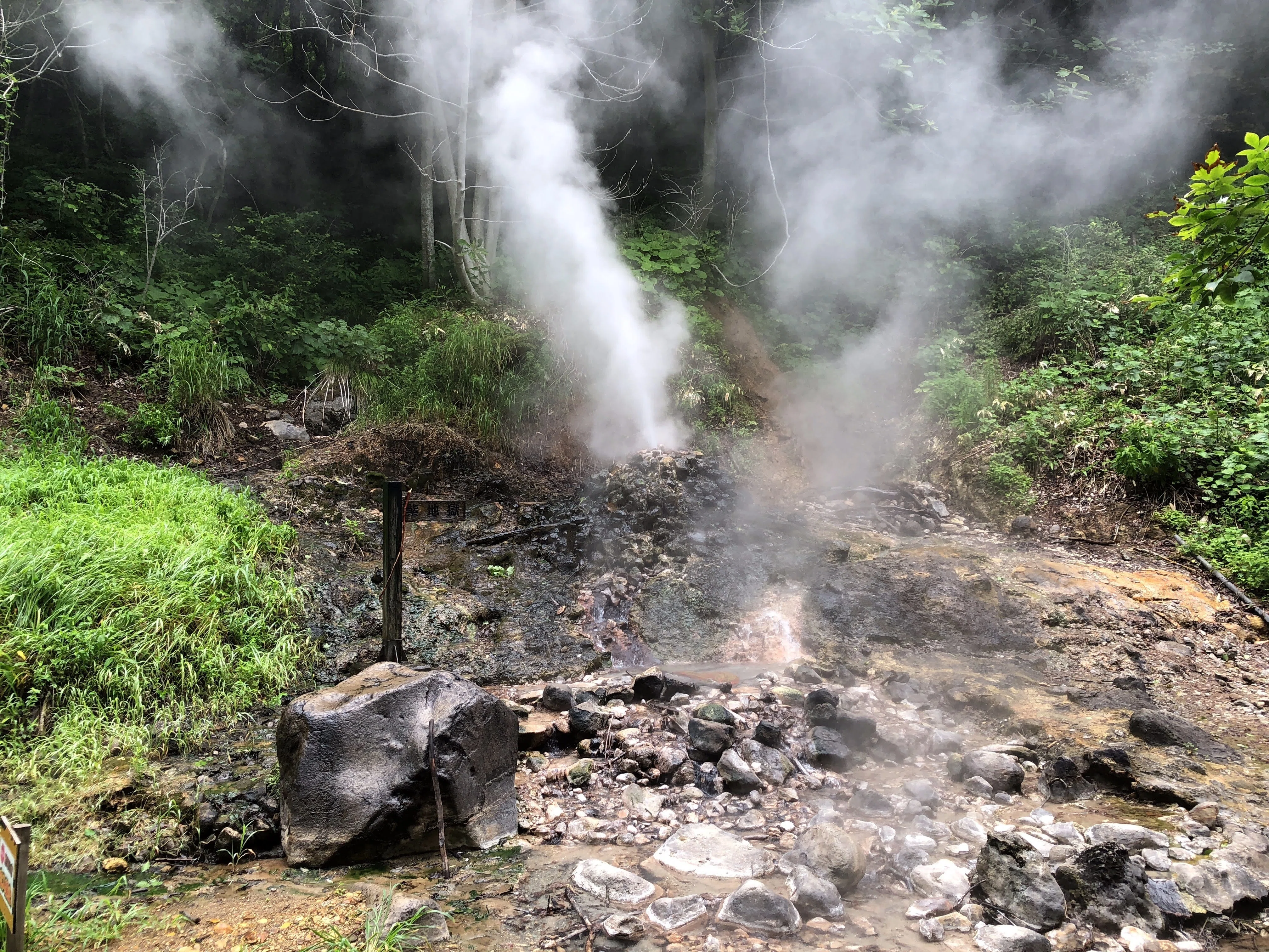 哀愁おっさん探訪記】宮城県大崎市鳴子温泉郷「鬼首温泉・地獄谷遊歩道