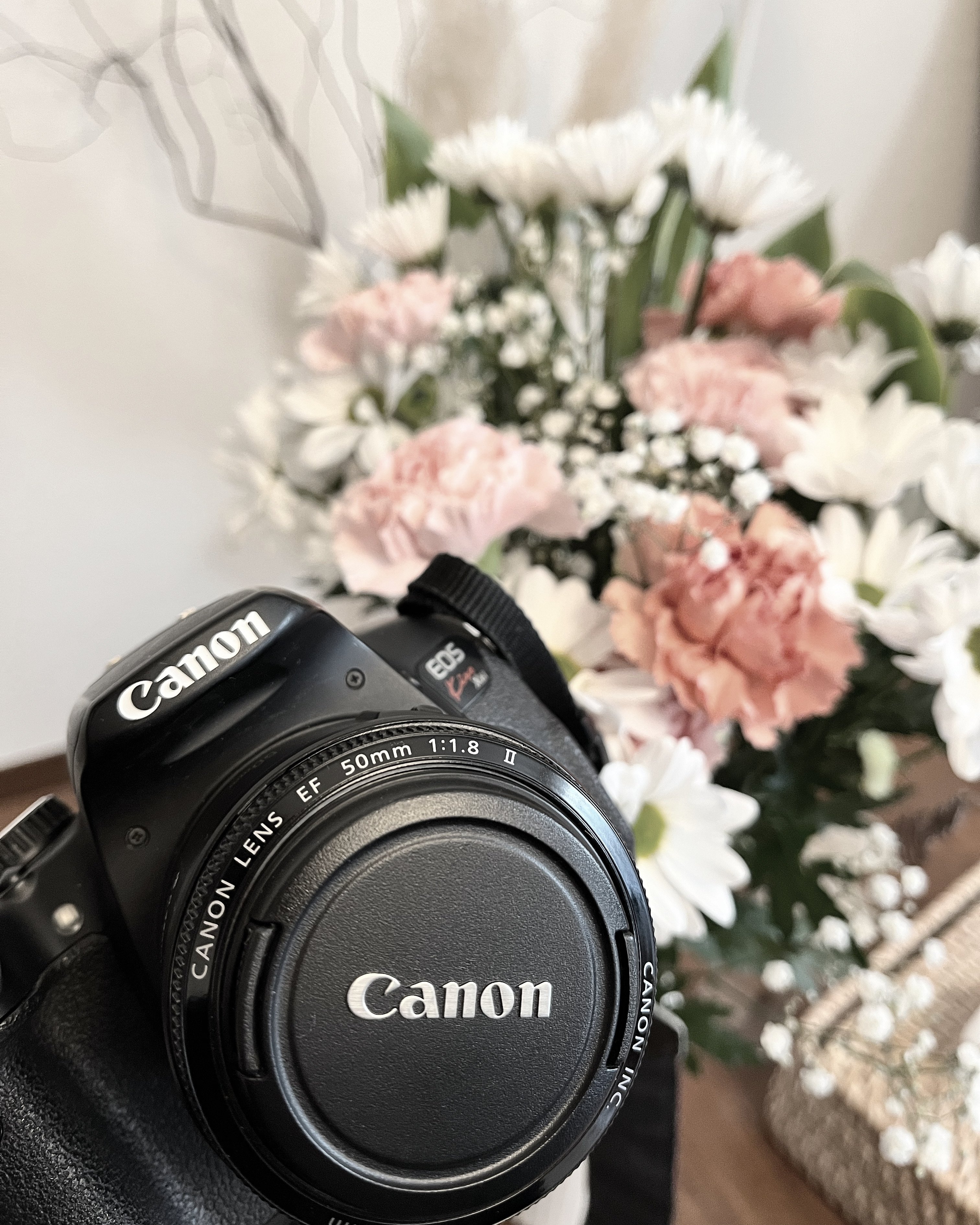 カメラとわたし｜Haruna