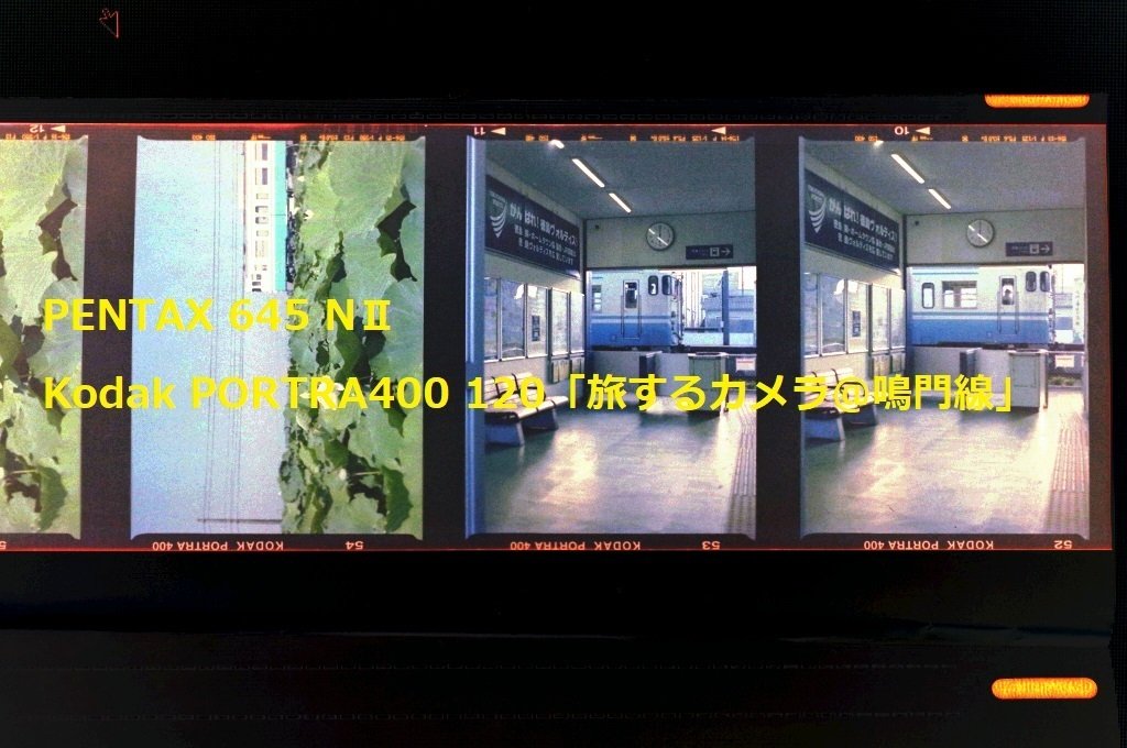 Kodak PORTRA400｜FUJIFILM PRO160 ネガフィルム現像あがってきた。旅