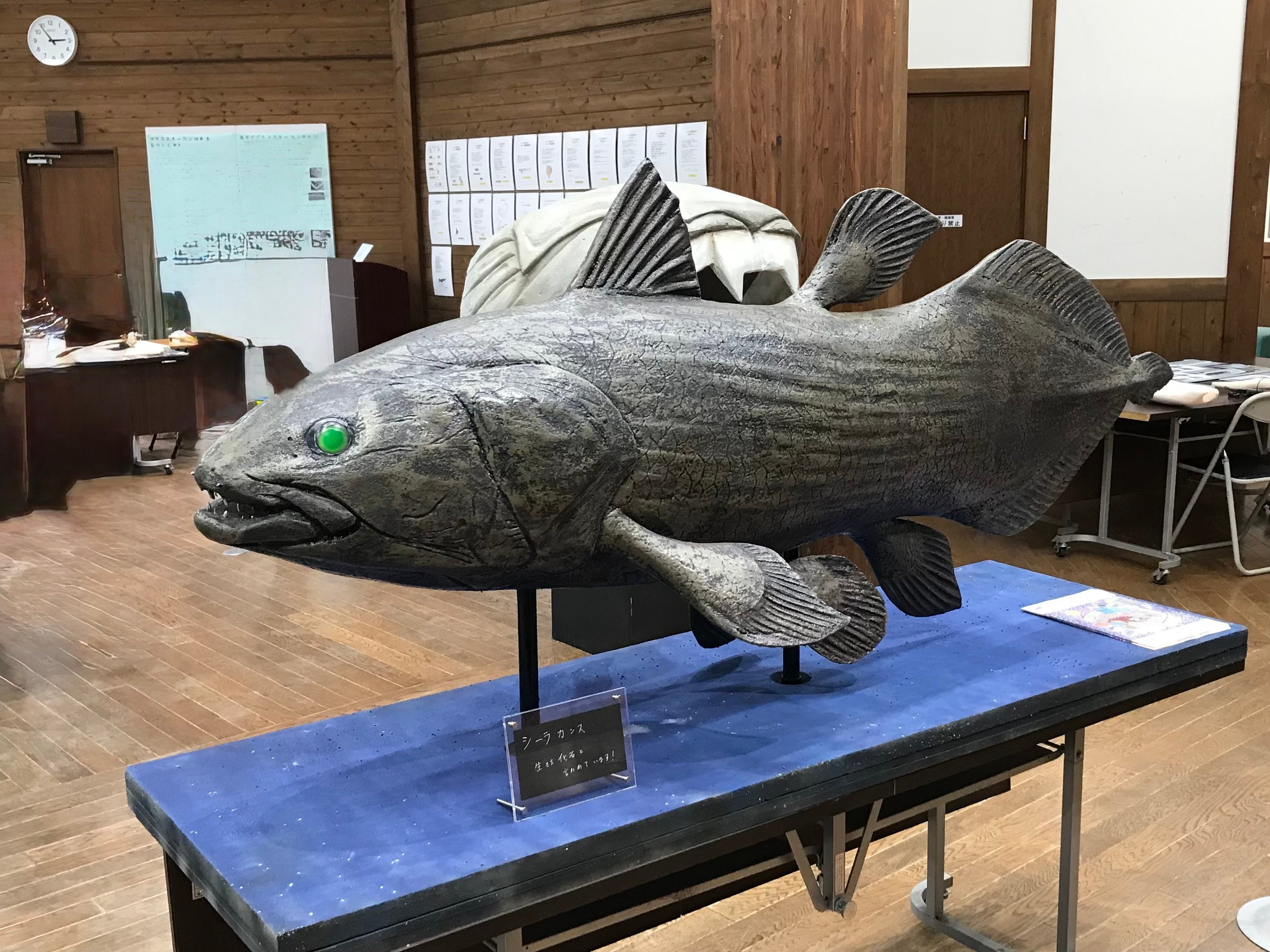 北アルプスの麓で「魚魚展」？大型魚や深海魚が目前に迫る圧巻の世界