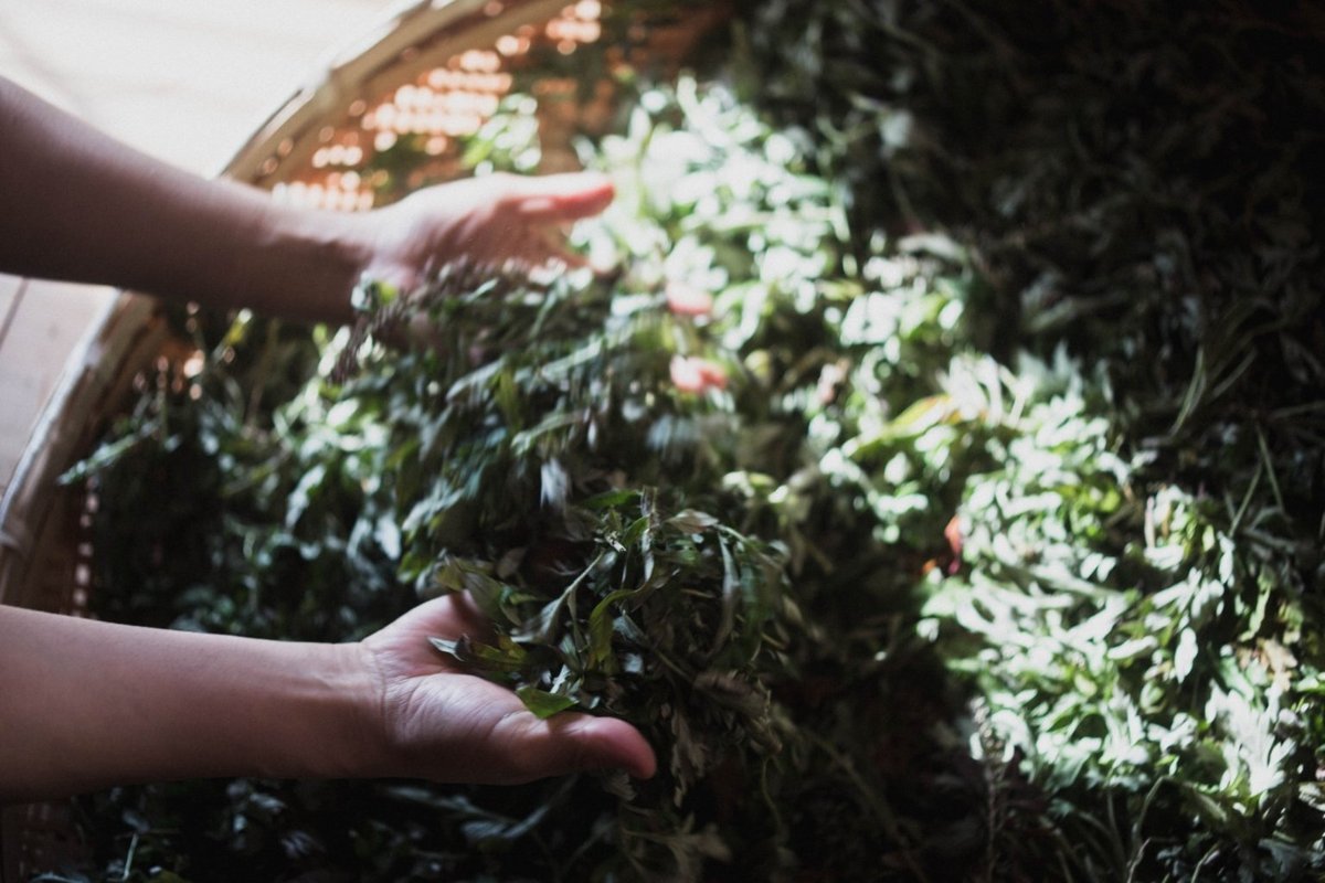 オーガニックコスメとは？実は明確な基準がないって本当！？