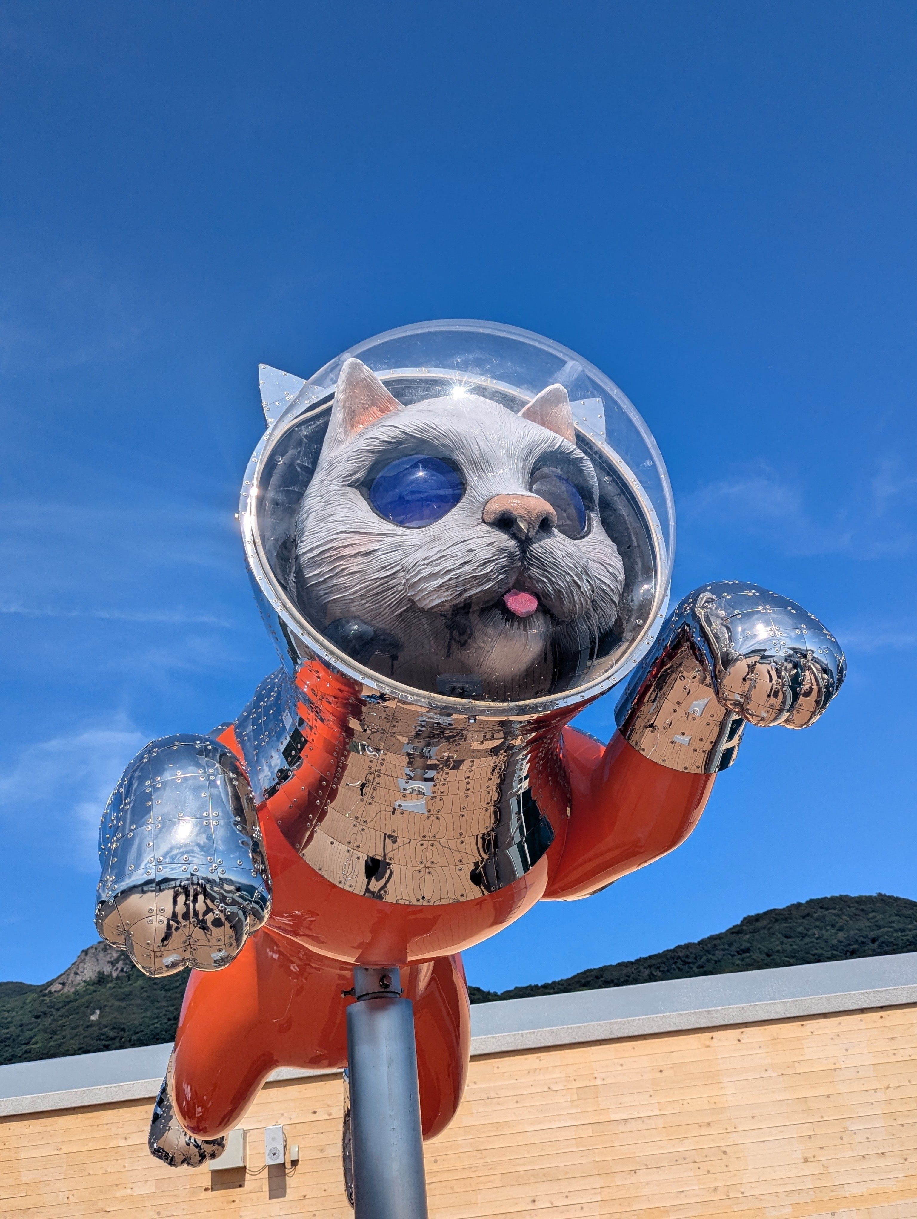 瀬戸内をめぐるシップス・キャットの旅｜ユニコ