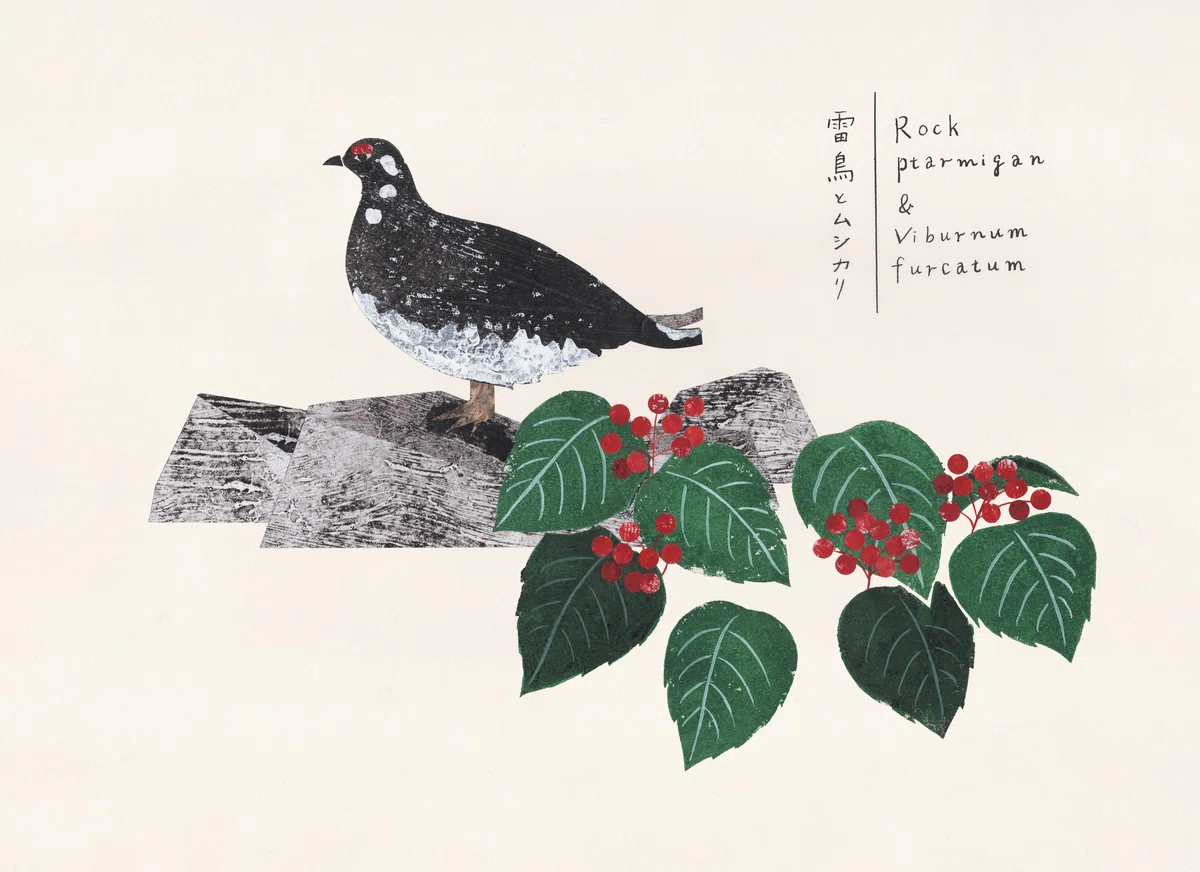 雷鳥とムシカリ イラスト：山本由実