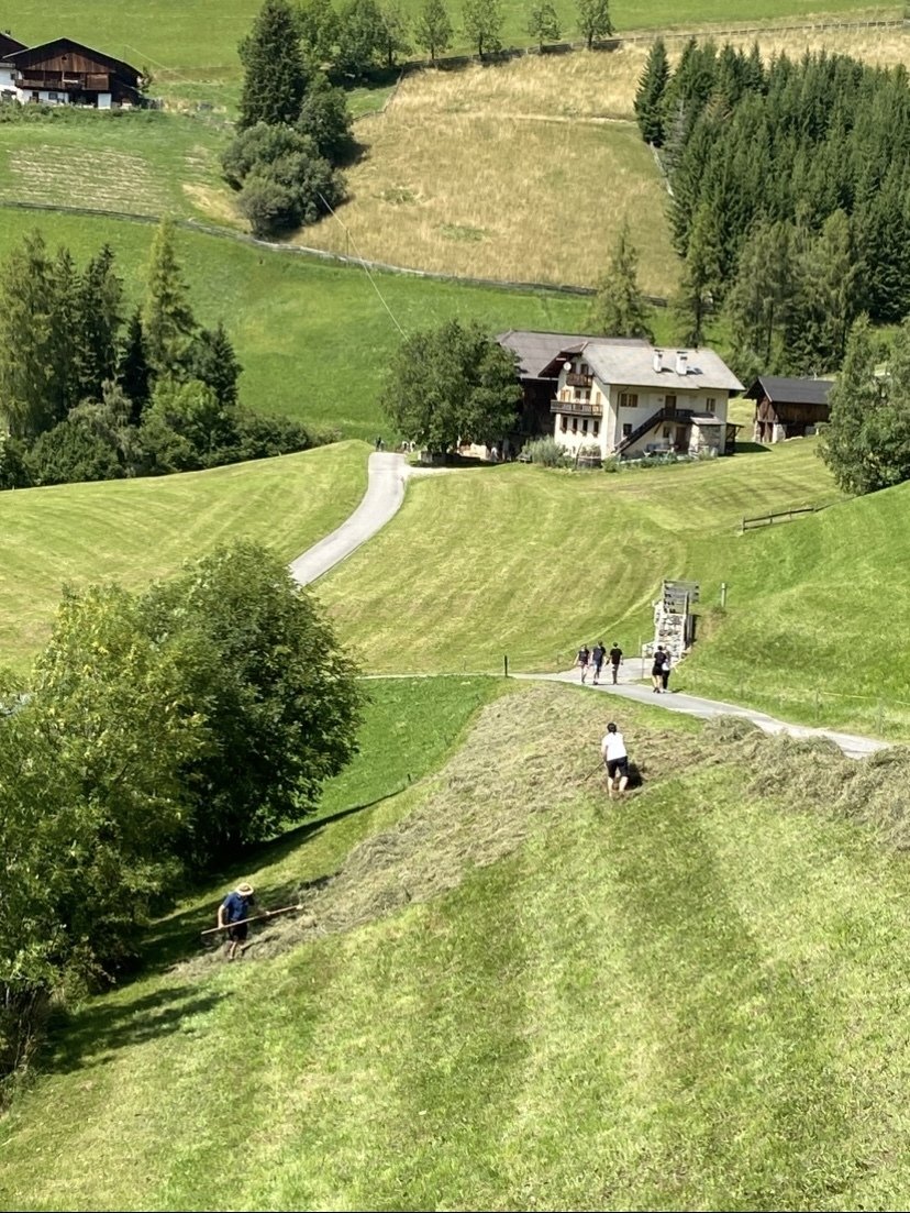 Meadow Road 　牧草地の道 Meadow Road 牧草地の道