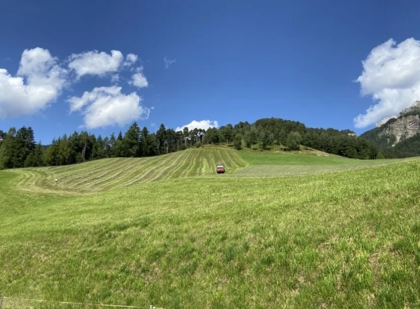 美しき牧草地帯の謎〜オーストリア、イタリア、スイス山岳地帯の旅