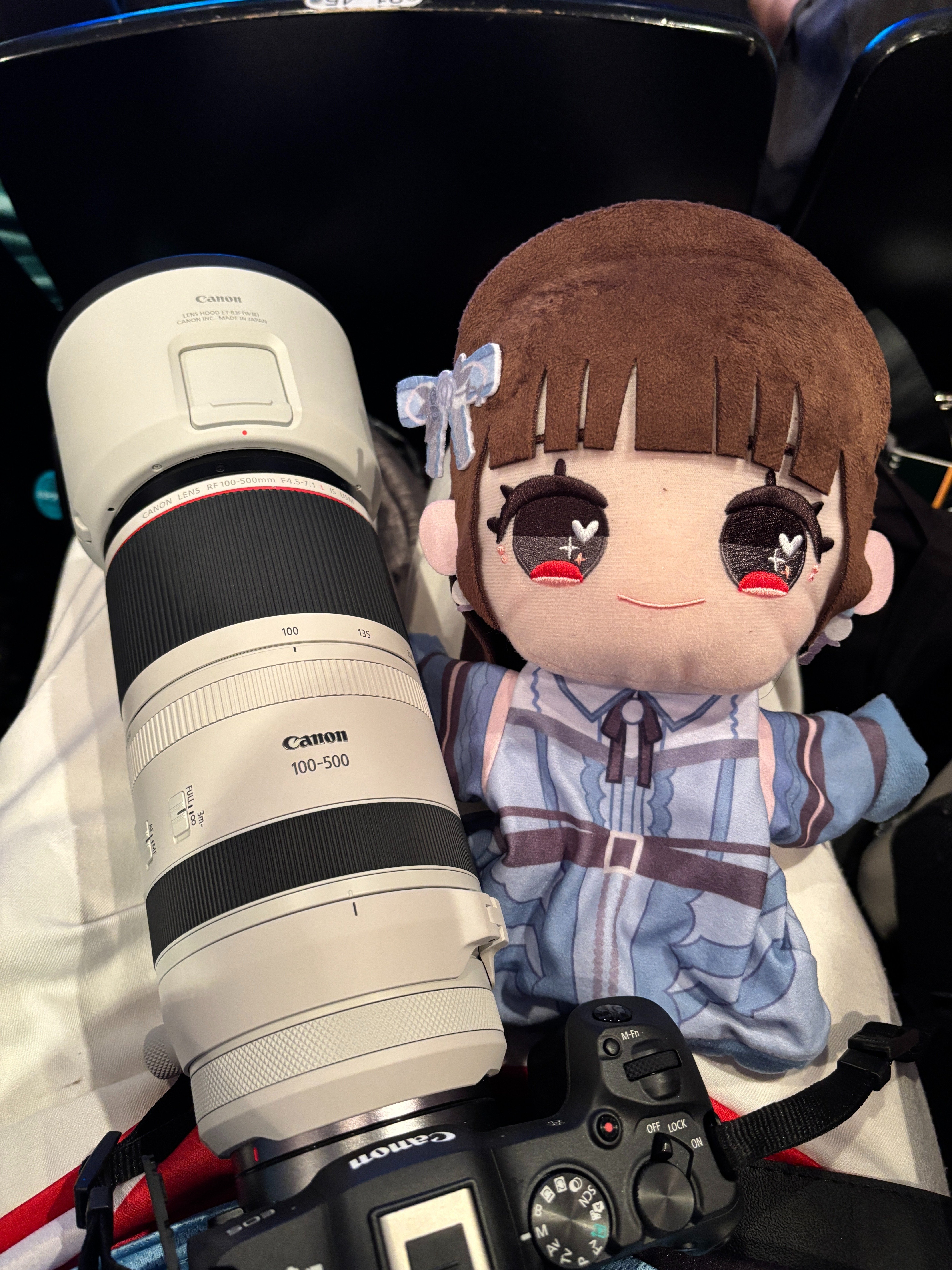 一眼レフ　望遠レンズ　その他カメラまとめ売り 一眼レフのダブルズームキット人気おすすめ11選【初心者に】標準・望遠