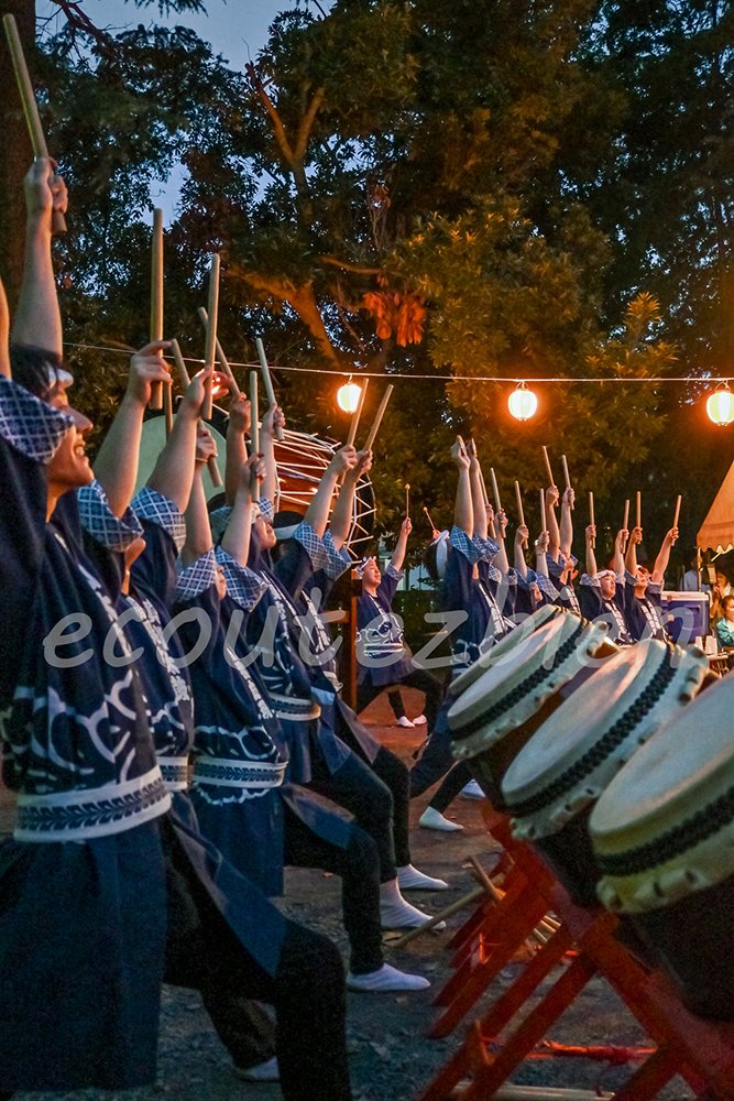 東京ヴェルディ 11 山見大登 カードフェスタ トレカ スペシャル