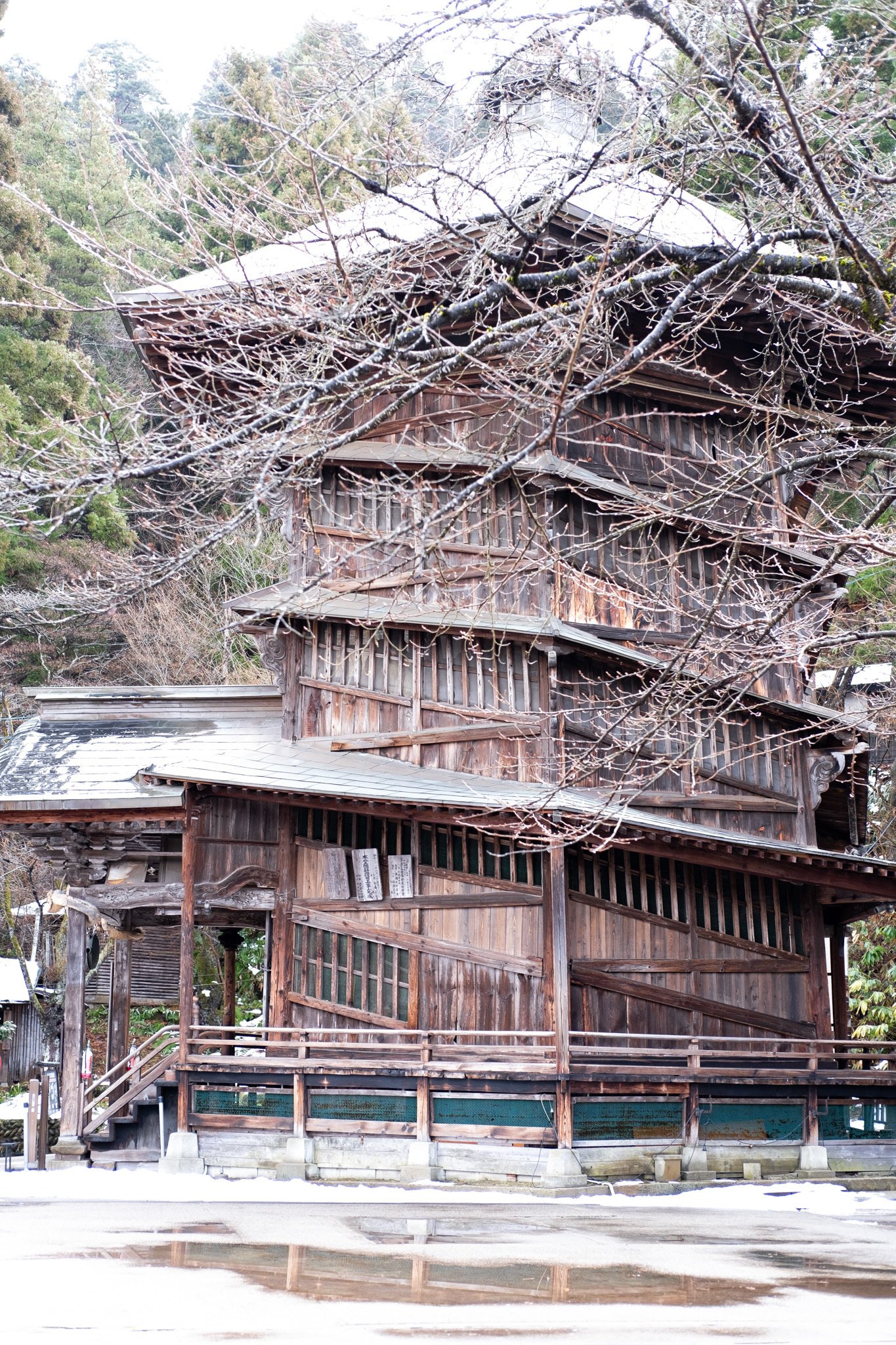 松栄堂　銅製　鎚目　水注　良い造り いまさら】#11 【世界唯一】特殊な構造を持つさざえ堂｜Shima