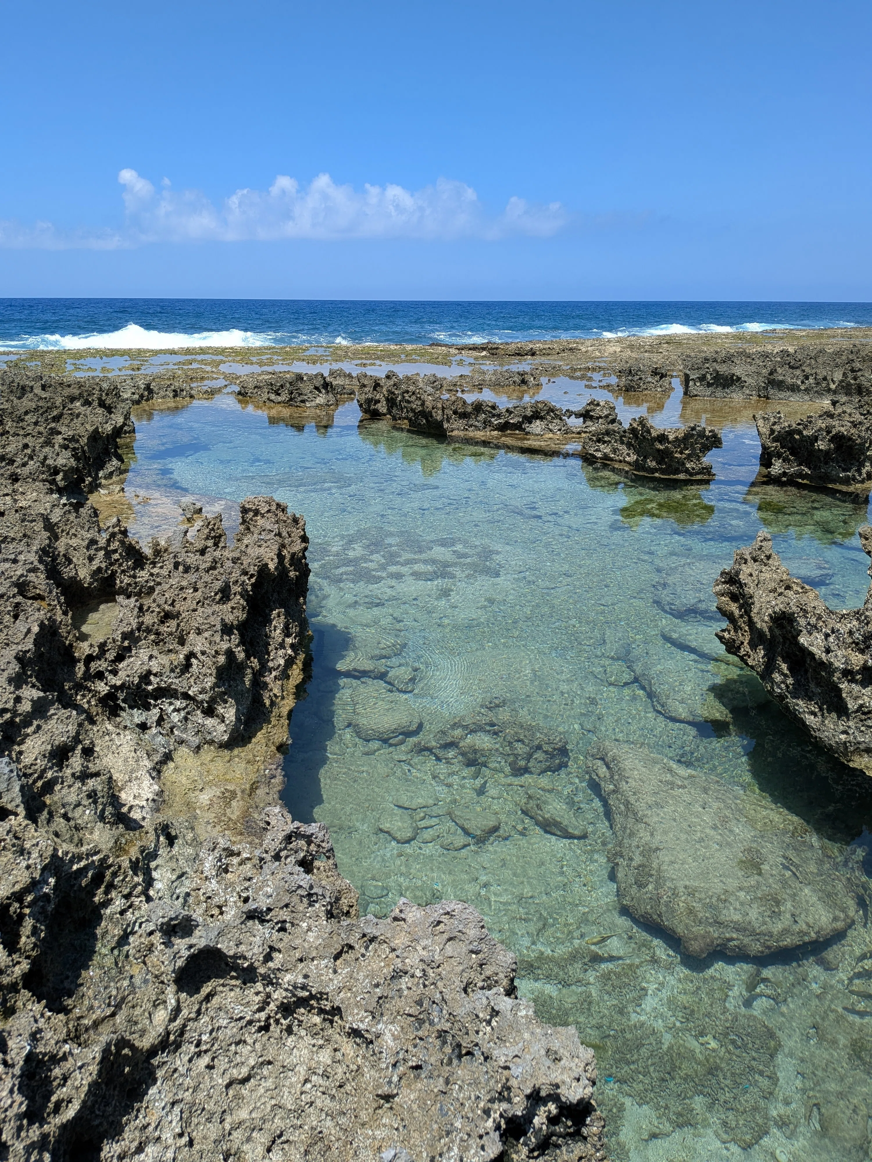 徳之島｜伊仙町の海のブルー｜徳之島｜伊仙町役場公式note