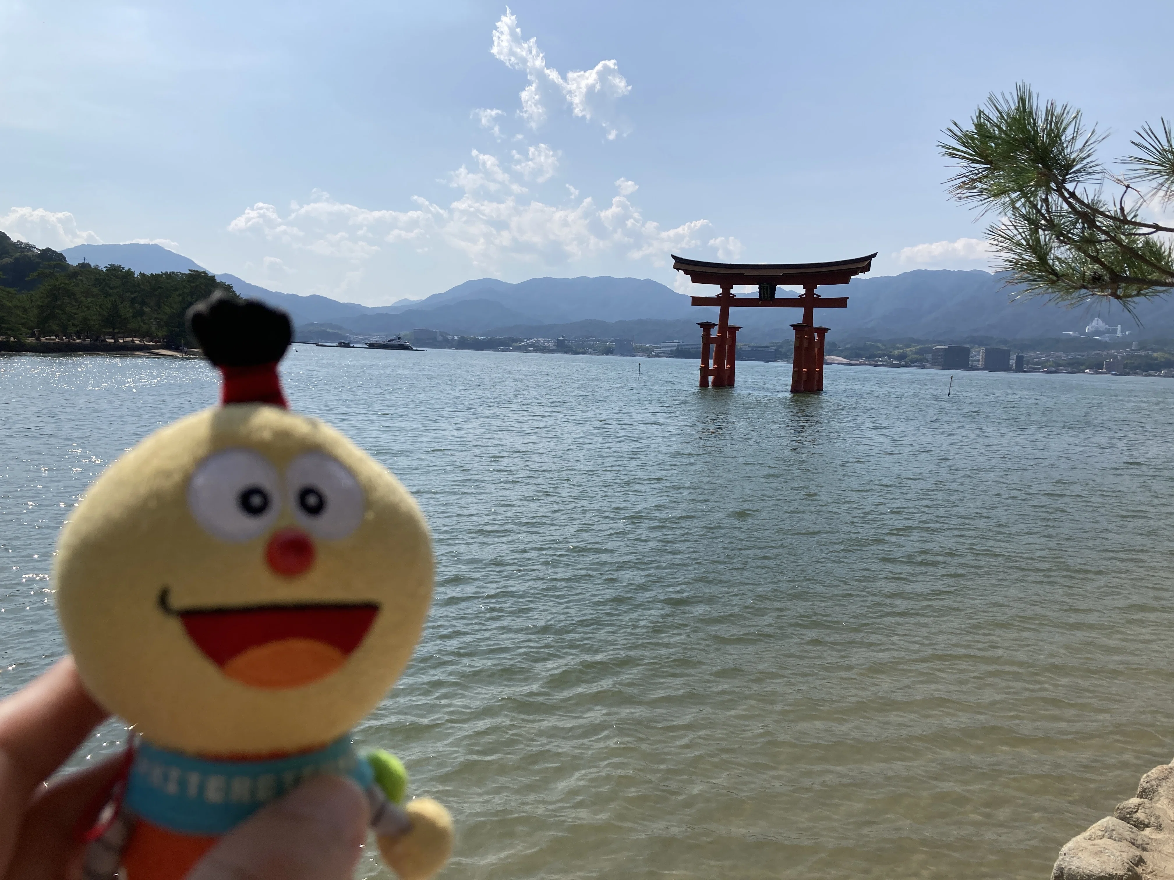 宮島 新着情報｜一般社団法人宮島観光協会 アニメ