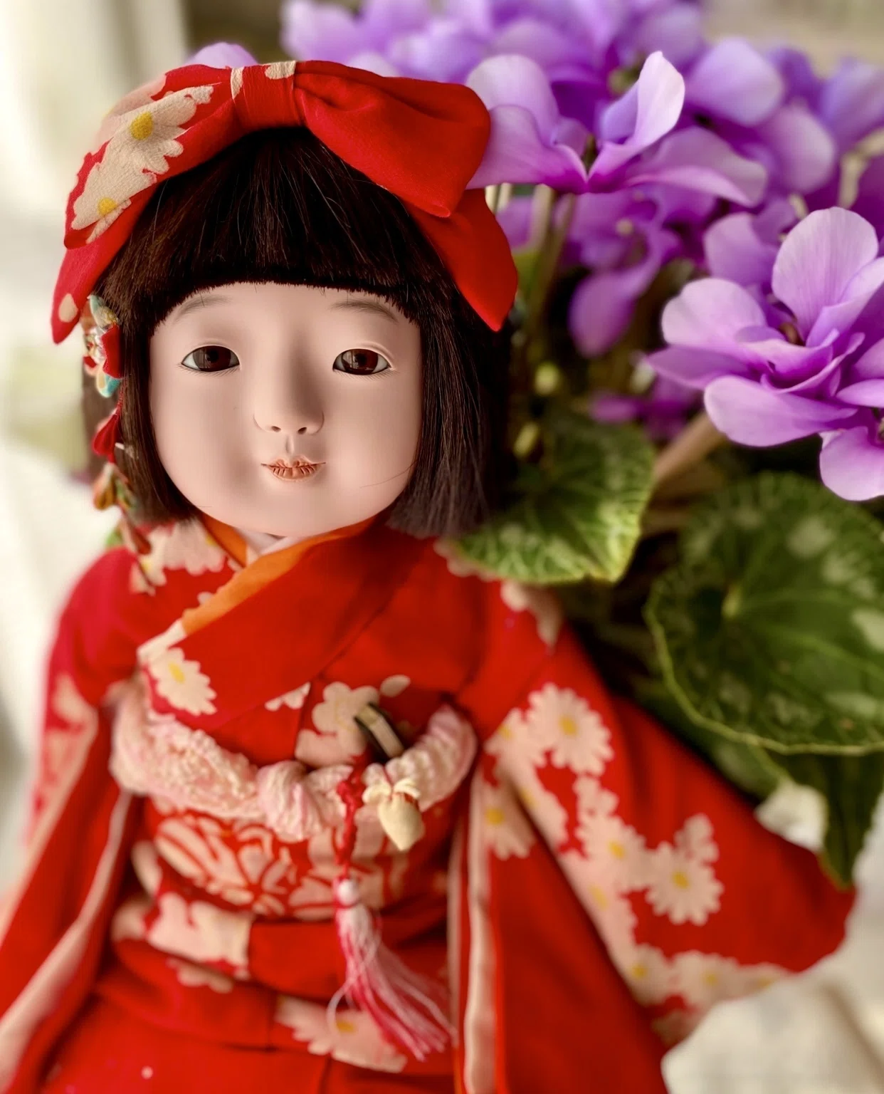 市松さん 八重｜hoshizuna