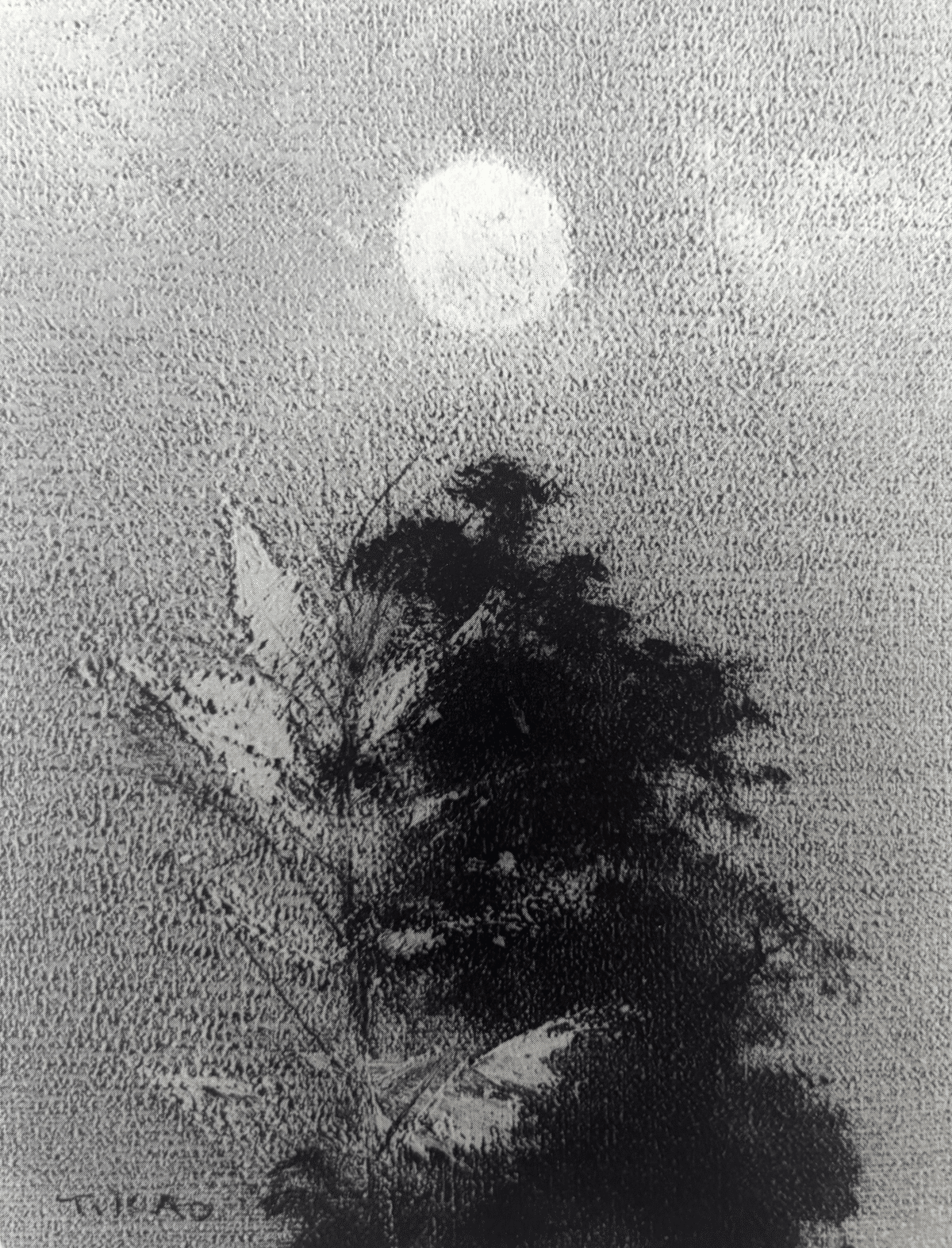 【掛軸】 虚受作者／高浜虚子句：「梅雨晴や家鴨は川の 水冠」／望月晴郎画家 掛軸】 虚受作者／高浜虚子句：「梅雨晴や家鴨は川の 水冠」／