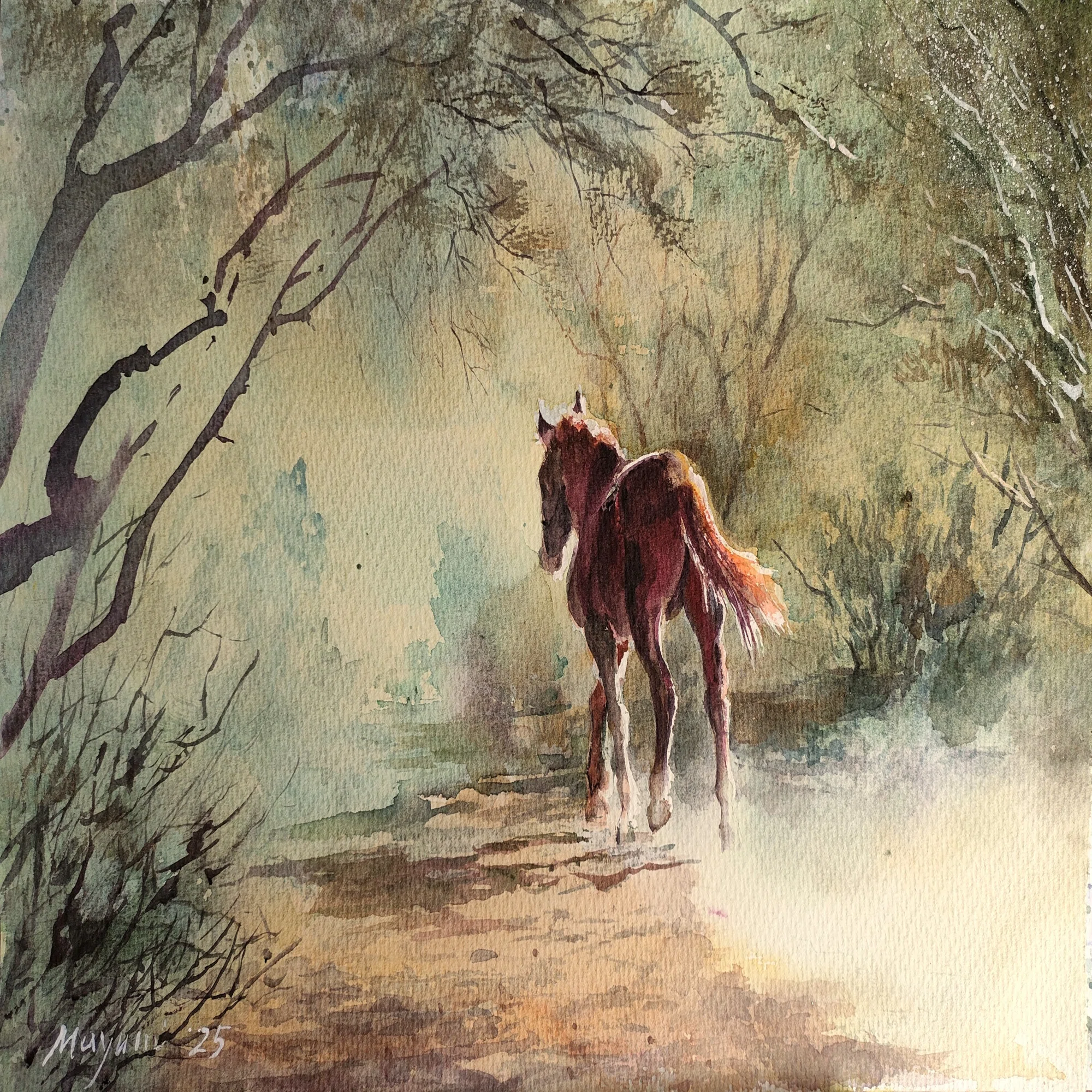 アリゾナ砂漠 野生の馬たち｜horseart-55
