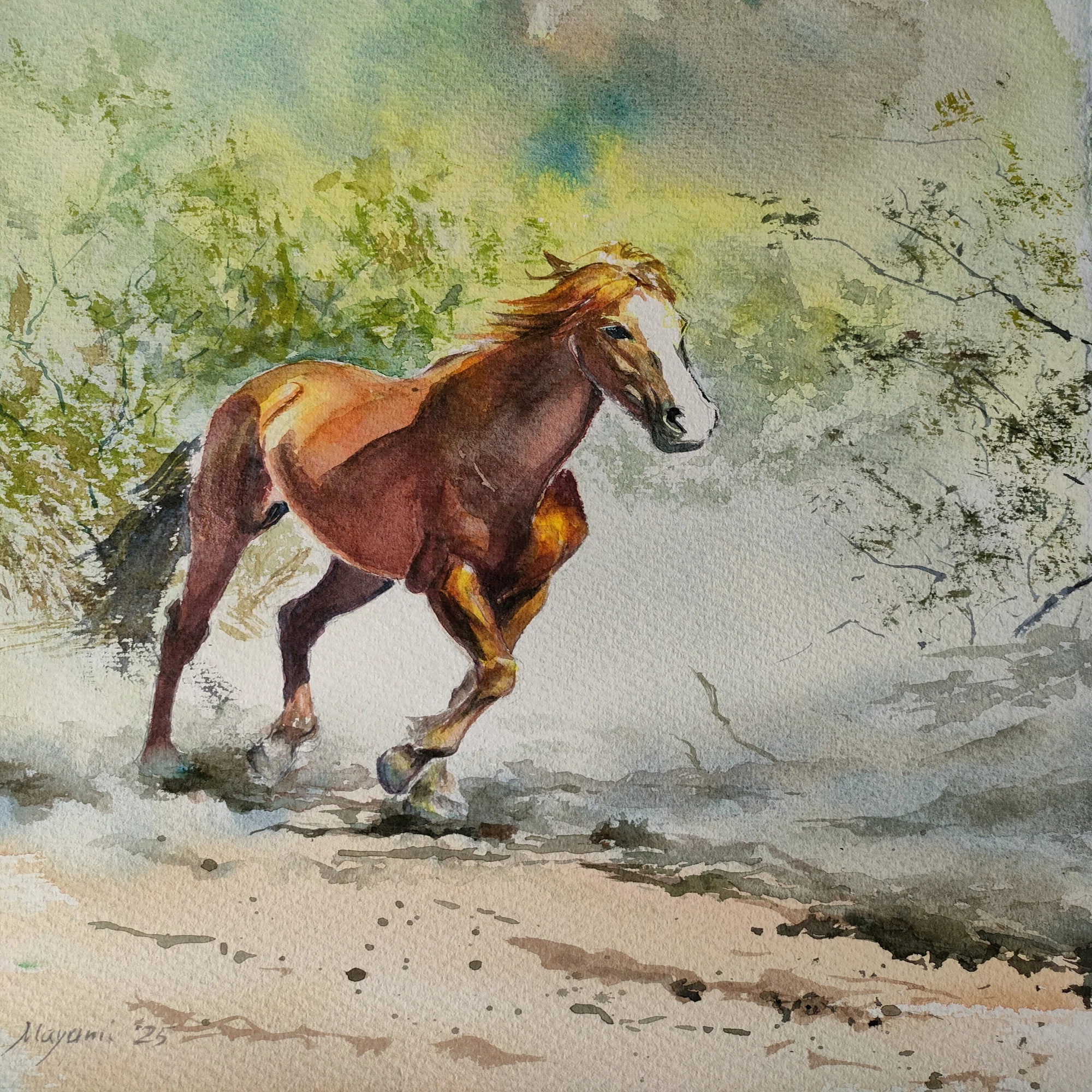 アリゾナ砂漠 野生の馬たち｜horseart-55