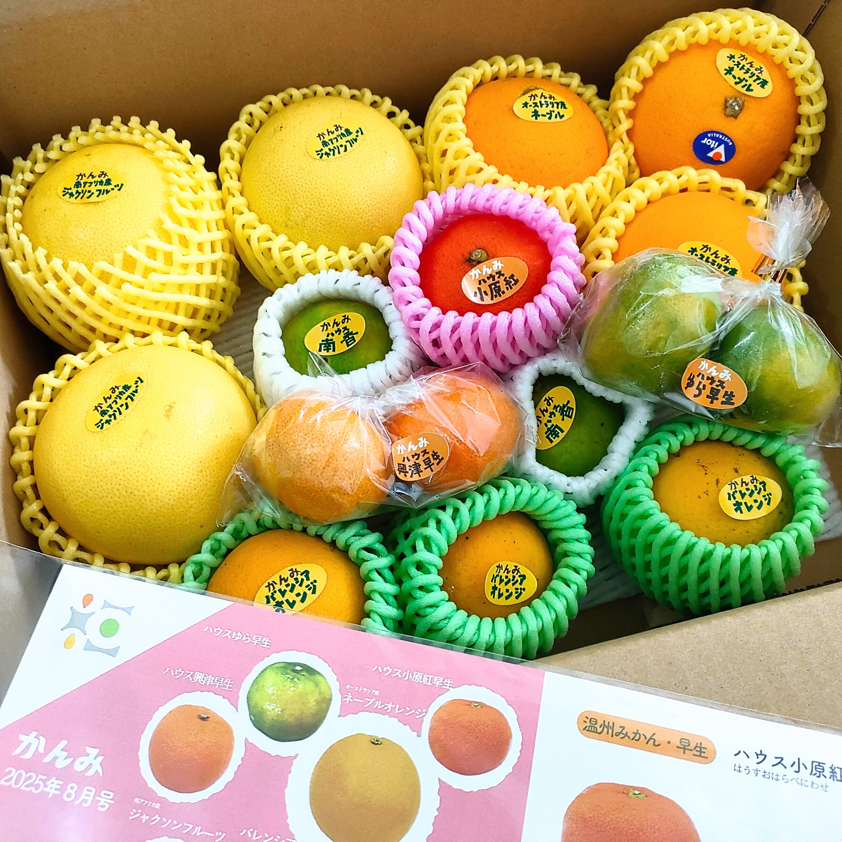 【みかん様】ミネルバ B vol. 8-25セット　チャイルドアイズ　知研 みかん様】ミネルバ B vol. 8-25セット チャイルドアイズ 知研 【公式