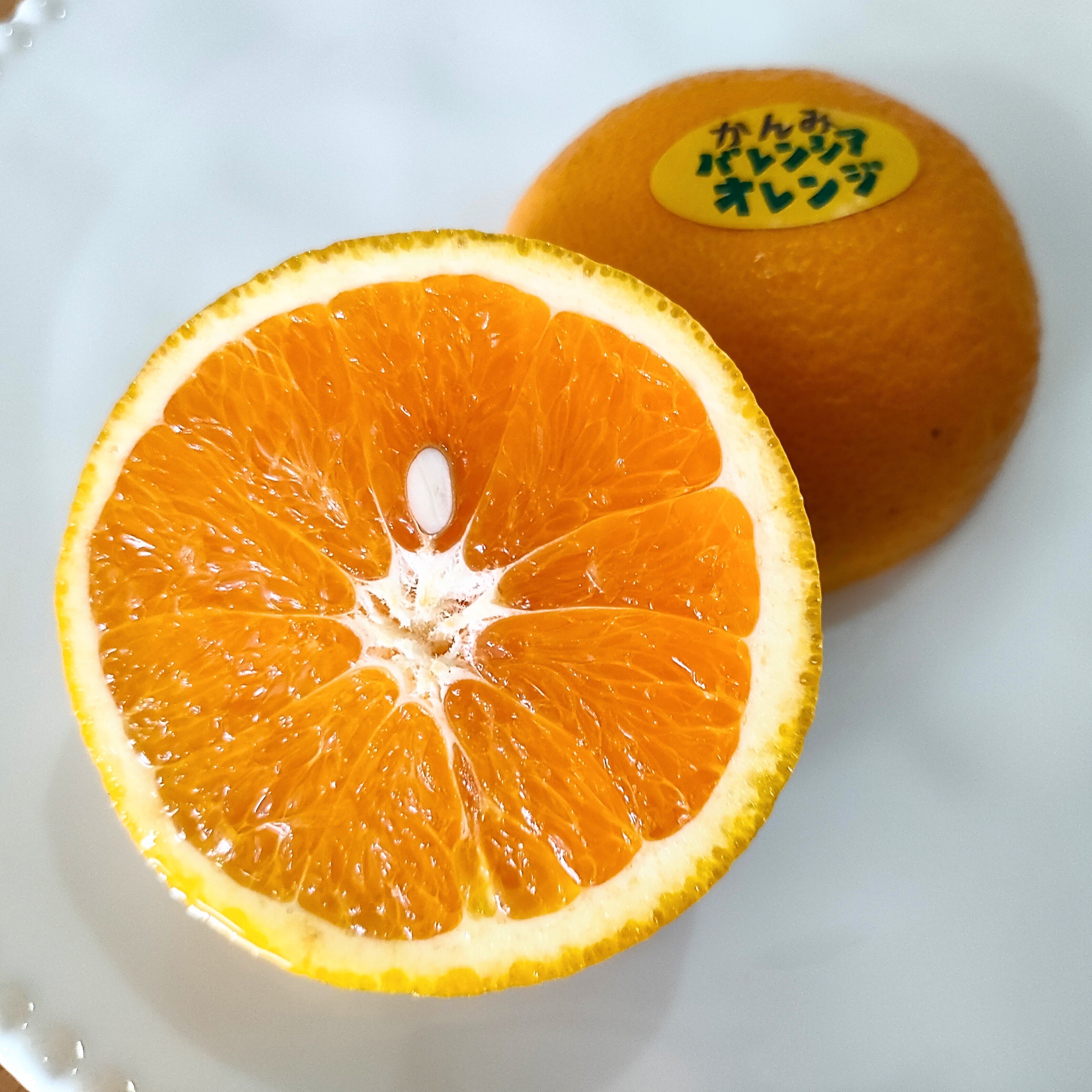 柑橘のサブスク かんみ】8月号｜みな