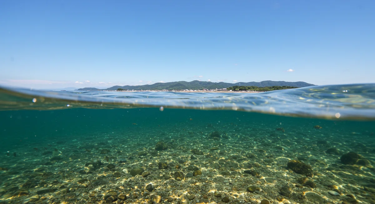 吸い込まれるほど透き通った海の水中風景で、分析の深さを示す。