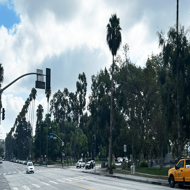 場所の力 限定モデル/New Driver Review】ZX7 440登場！SRIXON - YouTube