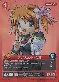 プロジェクトレヴォリューション　ハイスクールD×D　9枚 プロジェクトレヴォリューション ハイスクールD×D 9枚 2025年