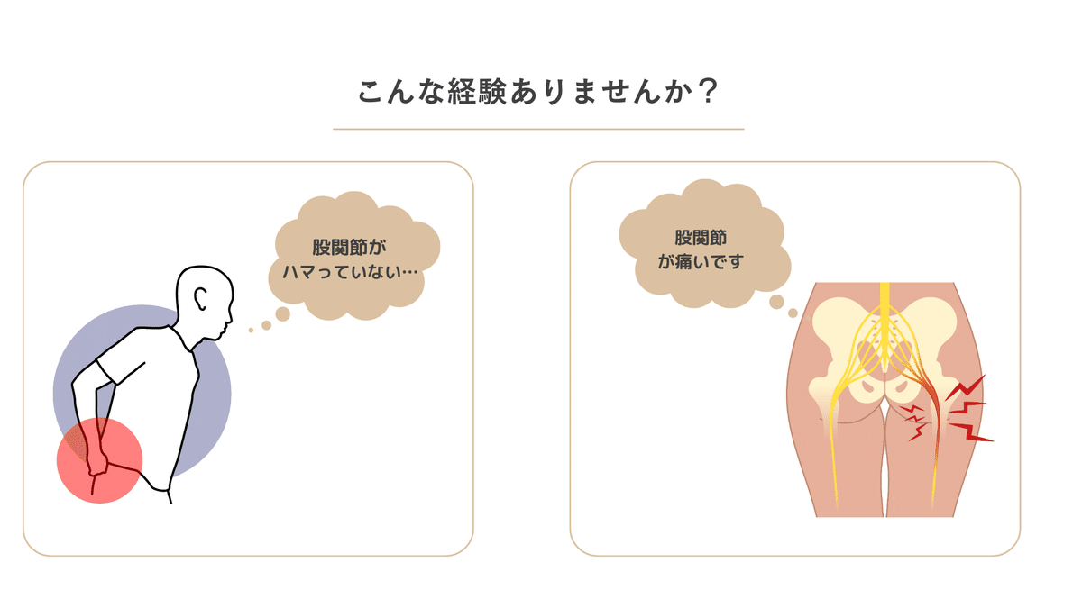 股関節のみかたとアプローチ〜股関節の構造とシステムを理解する〜(2枚組) 股関節のみかたとアプローチ～股関節の構造とシステムを理解する