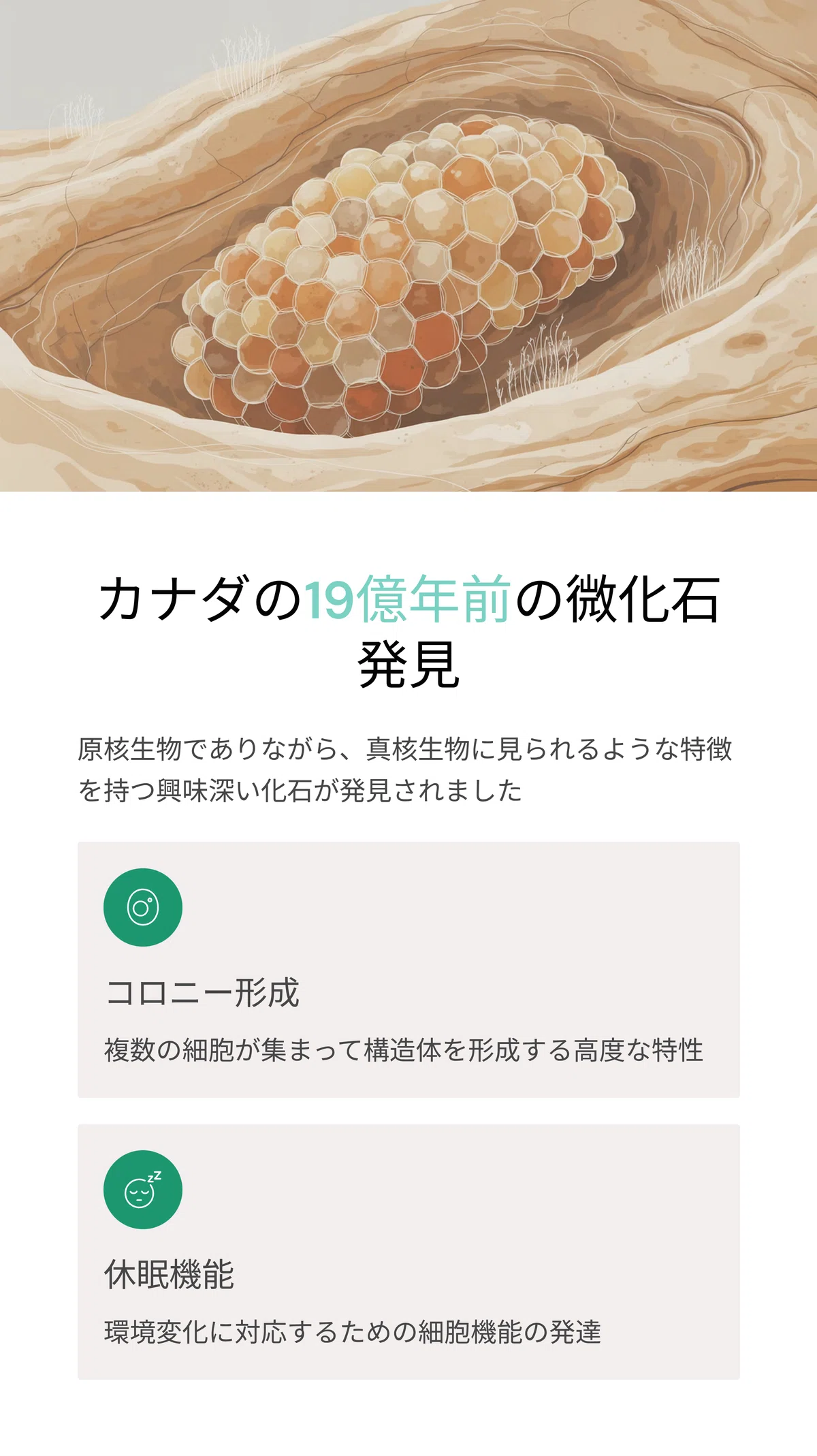 初期生命の誕生と進化 ― 海底から陸上まで広がる生命誕生のシナリオ