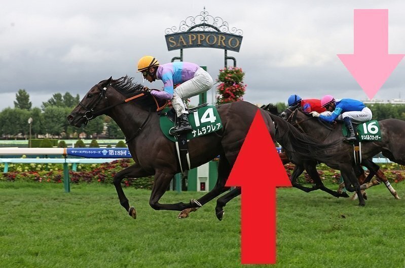 ナチュラルライズ　馬券　カトレアステークス　現地的中馬券　直筆サイン　騎手 ナチュラルライズ 馬券 カトレアステークス 現地的中馬券 直筆