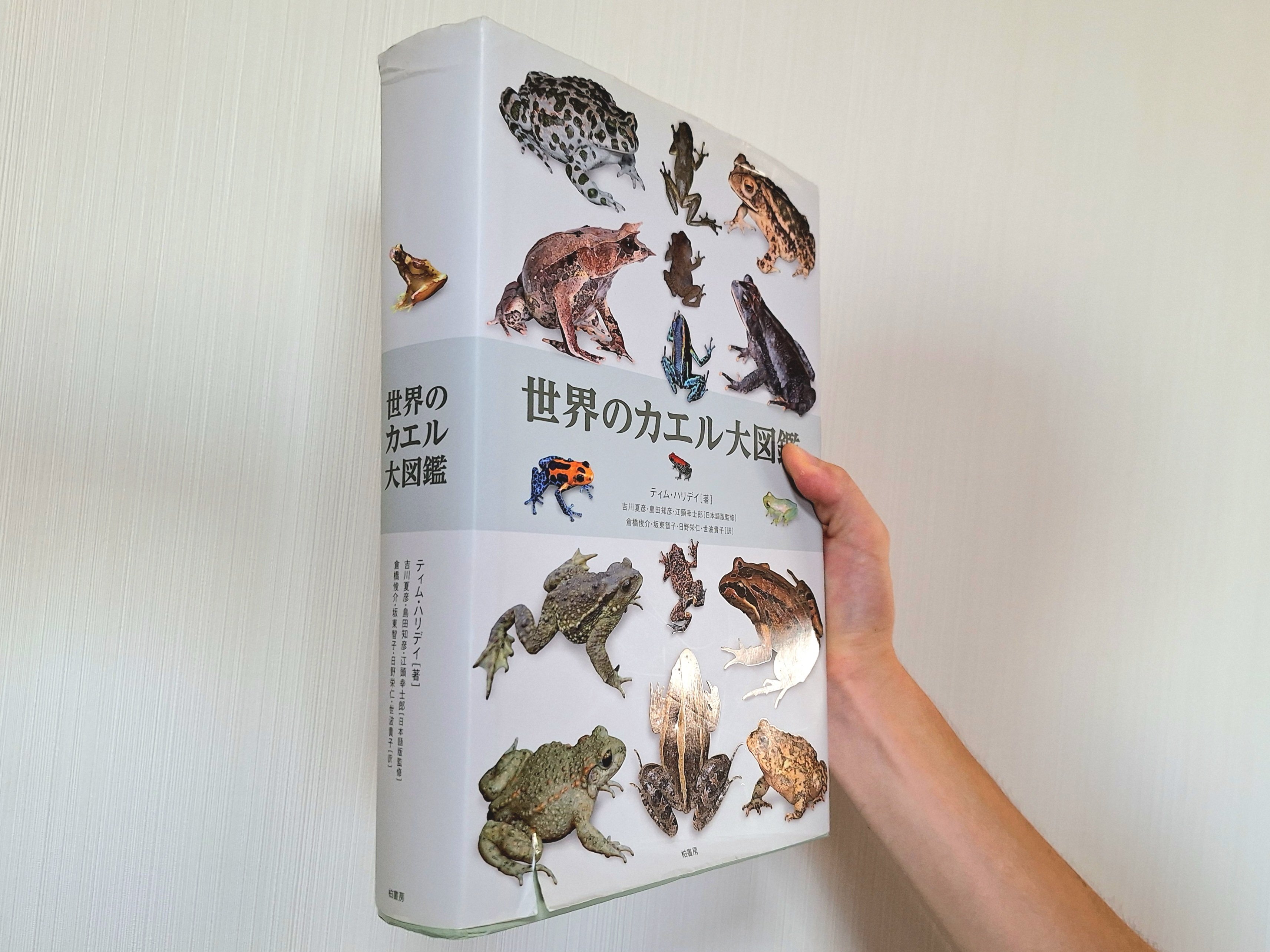 世界のカエル大図鑑　　大型本 世界のカエル大図鑑 | ティム ハリデイ, 吉川 夏彦, 島田 知彦