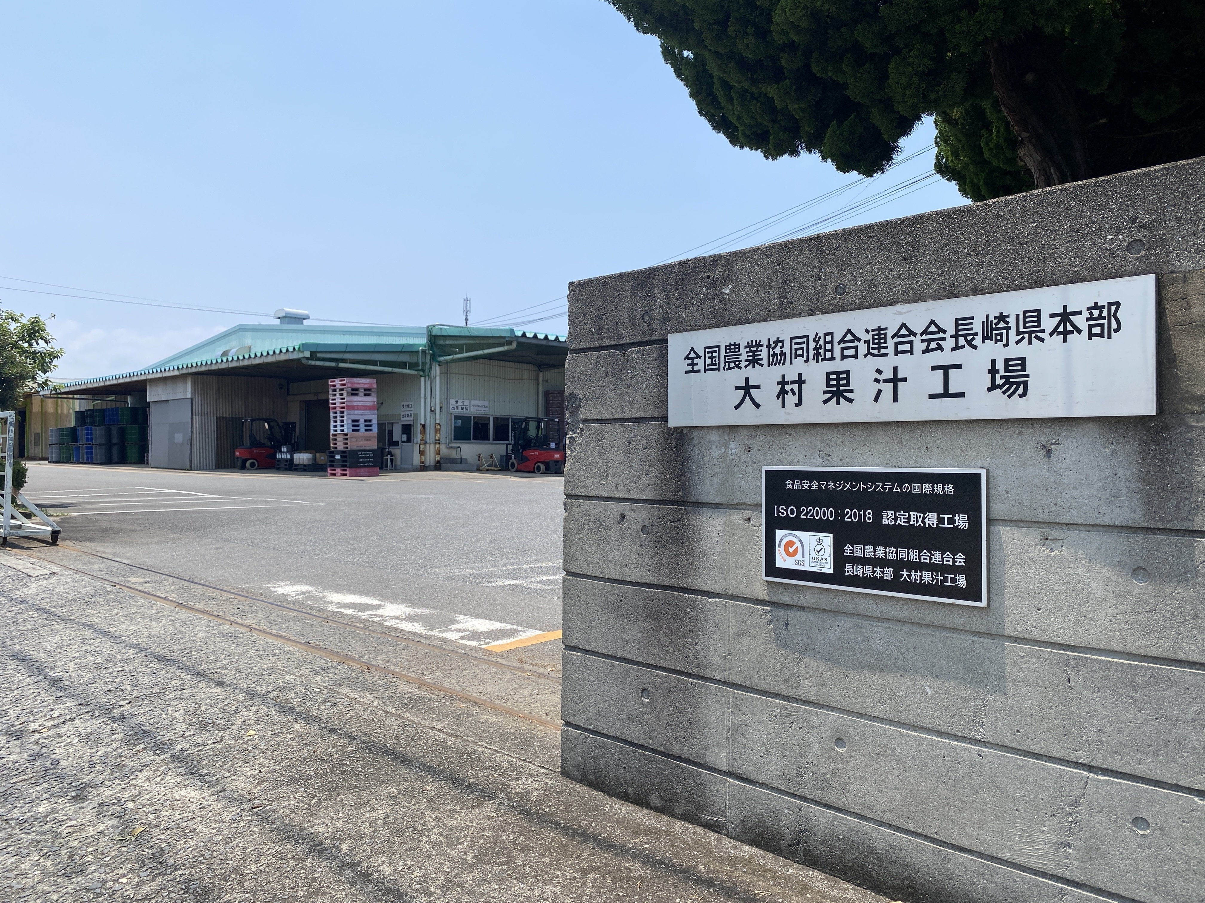 九州のお茶といえば「蒸し製玉緑茶」 銘茶2種の魅力に迫る！｜アルミ