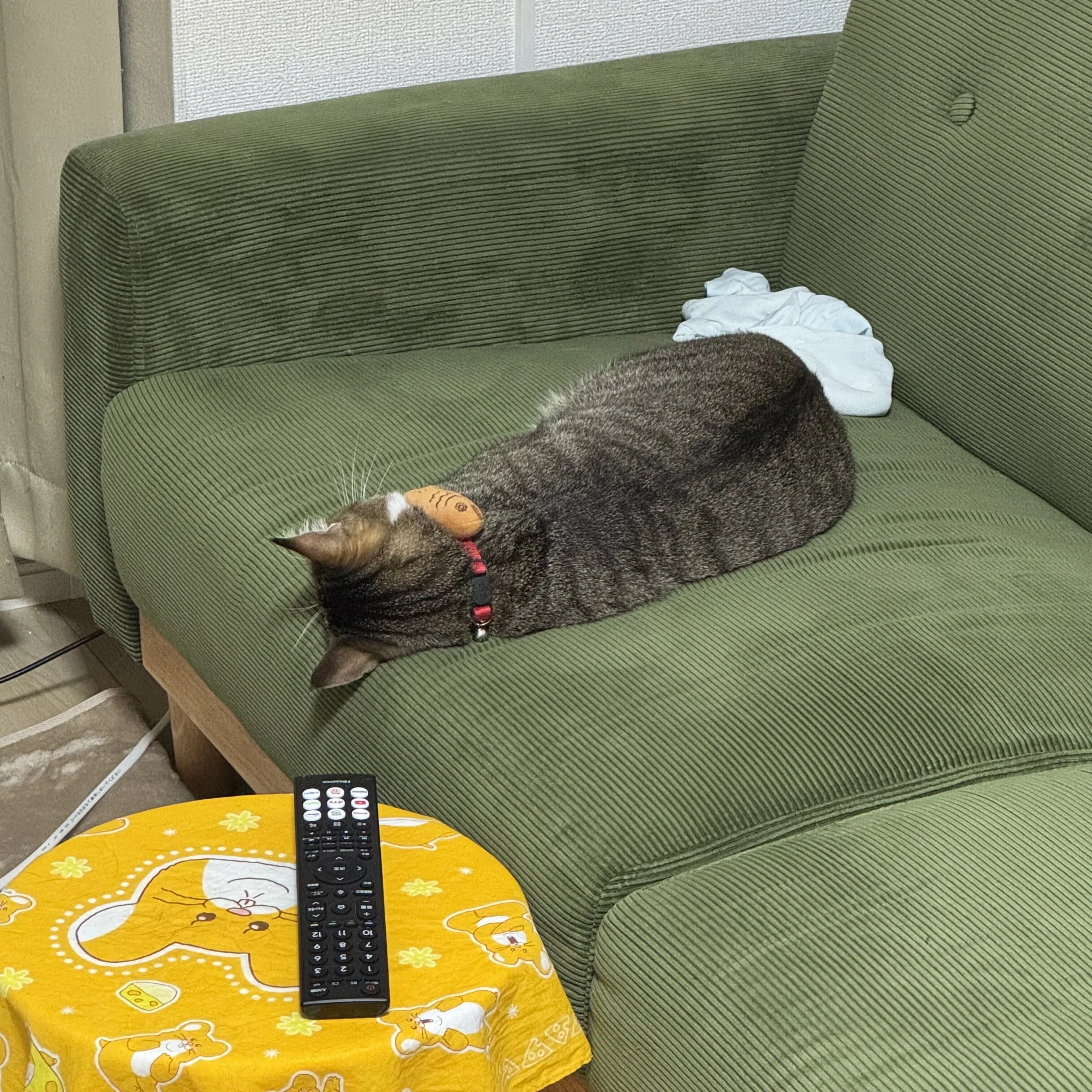 僕と猫と猫｜僕らの別荘日記
