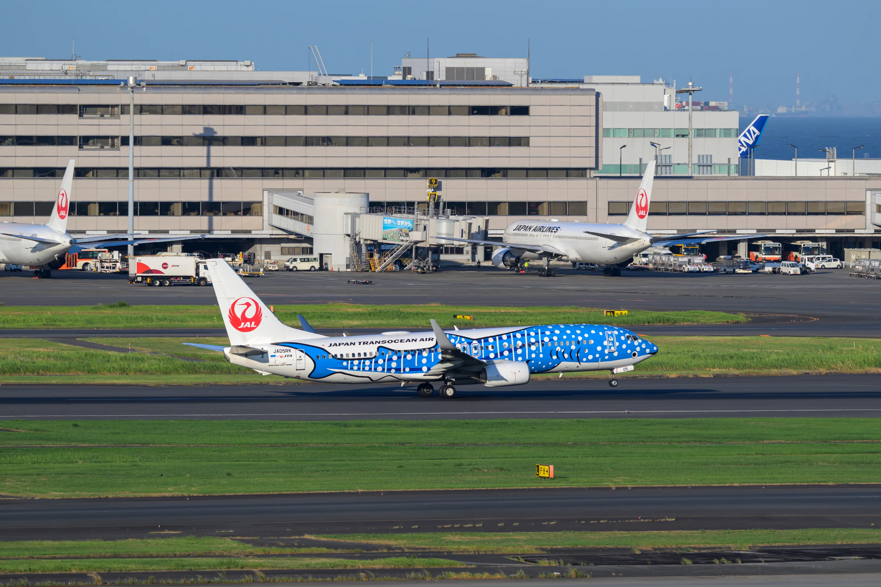 Z8で久し振りの飛行機写真｜Bokeh-Gee