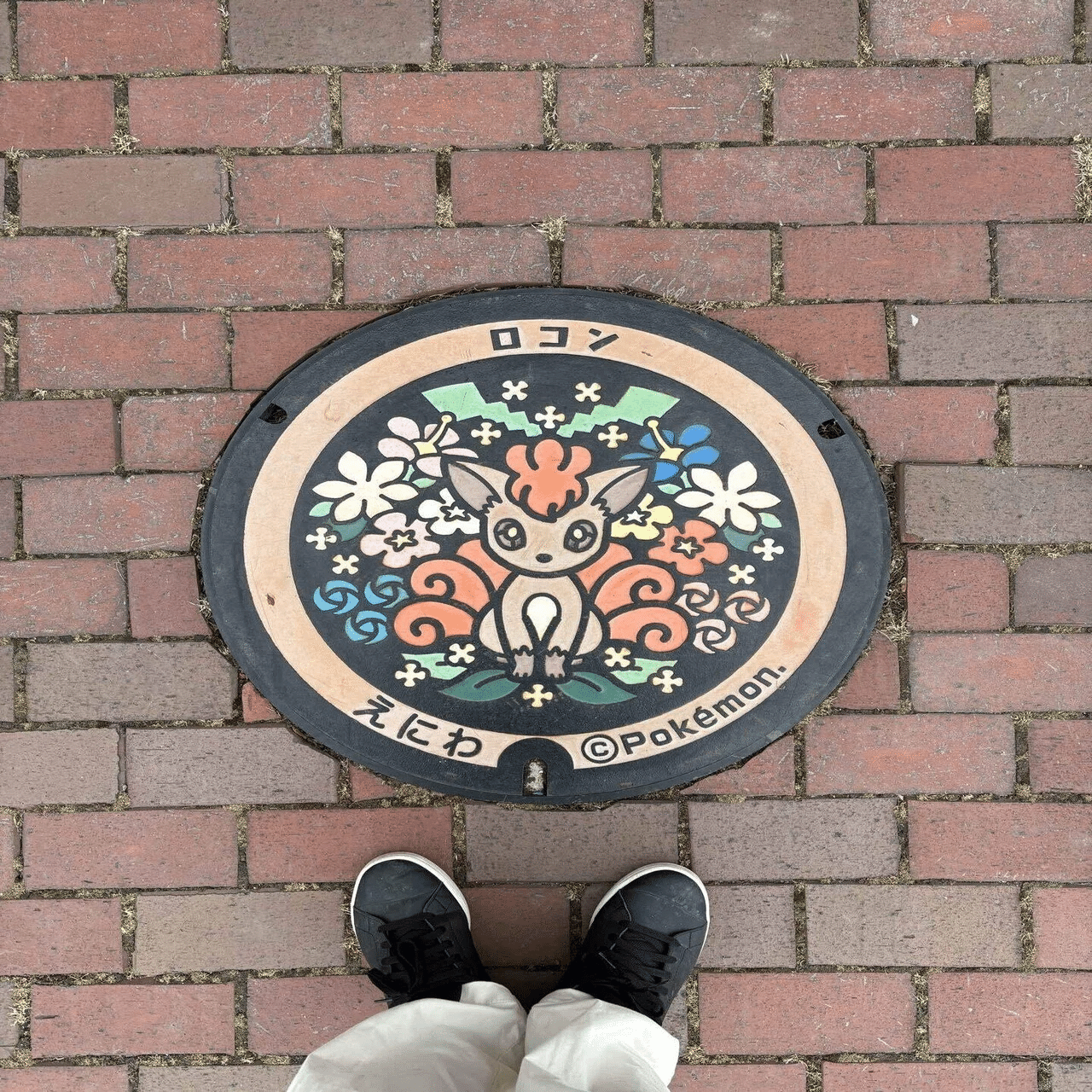 ポケふた】えにわ｜花の町でロコンを探せ！｜愚ｩ