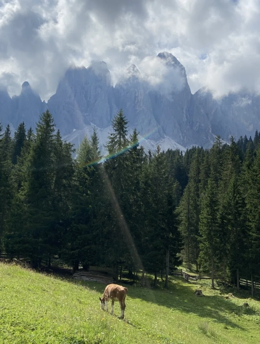 美しき牧草地帯の謎〜オーストリア、イタリア、スイス山岳地帯の旅