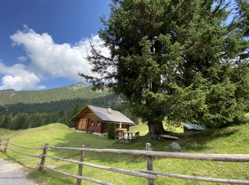 Meadow Road 　牧草地の道 豊富町大規模草地育成牧場 | 北海道Style