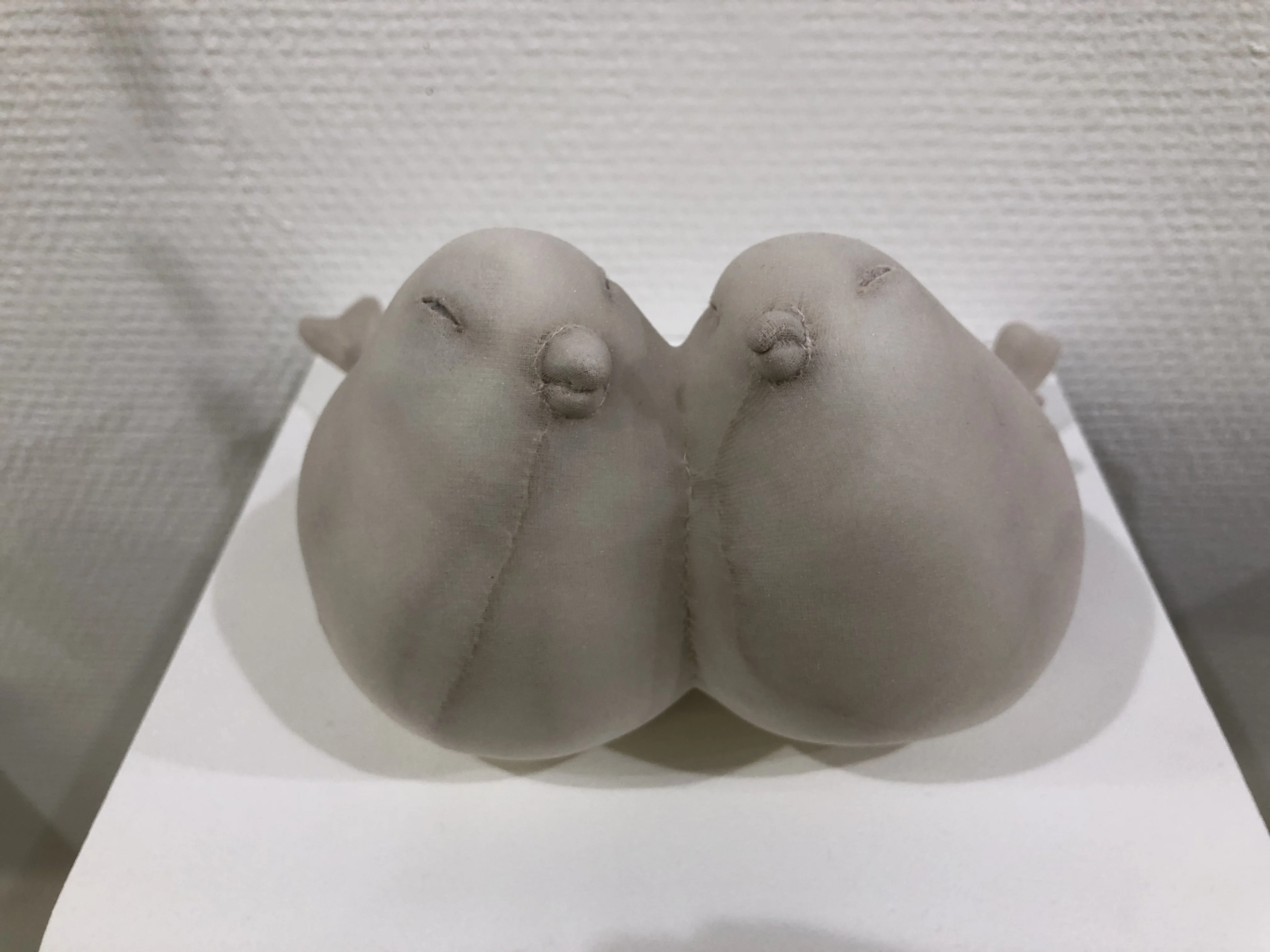 いろいろな「自然」観があるということ その1：「北のfoundation