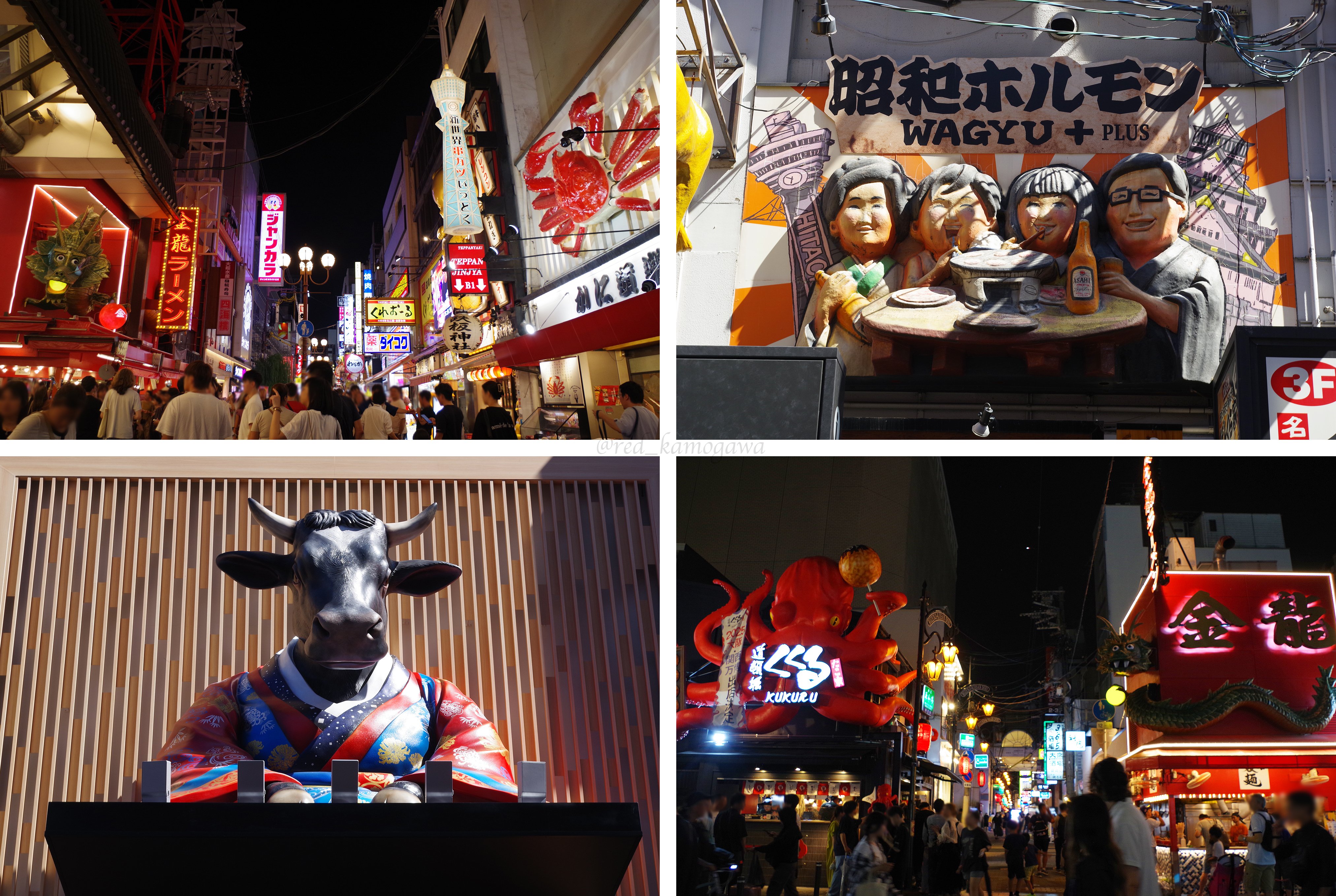 赤色巡りレポ⑬-Part1】 大阪・南地五花街 【大阪最大の遊郭・花街