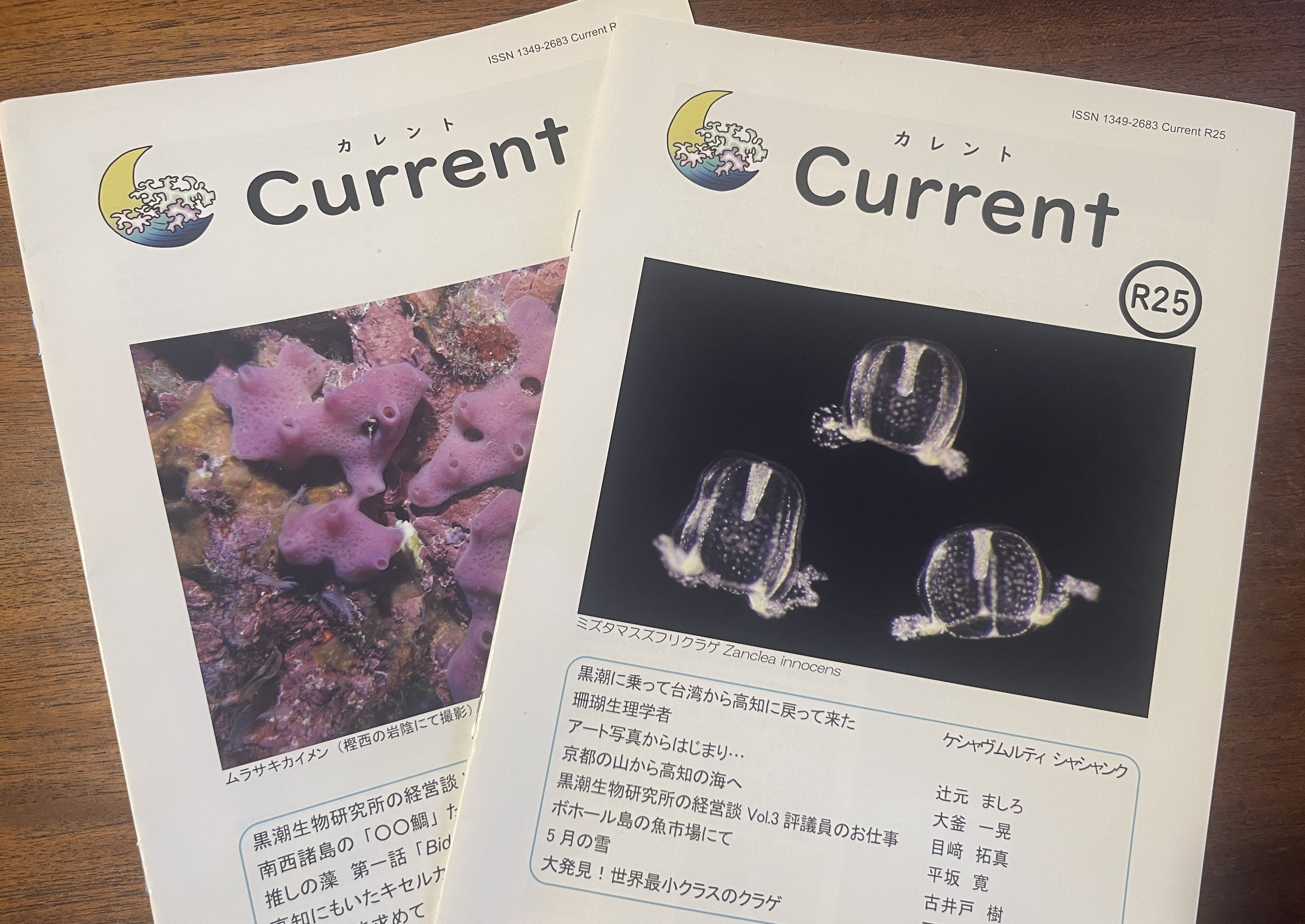 サンゴ遠征 vol.4｜憧れの黒潮生物研究所に行ってきた！｜asahi / 朝陽