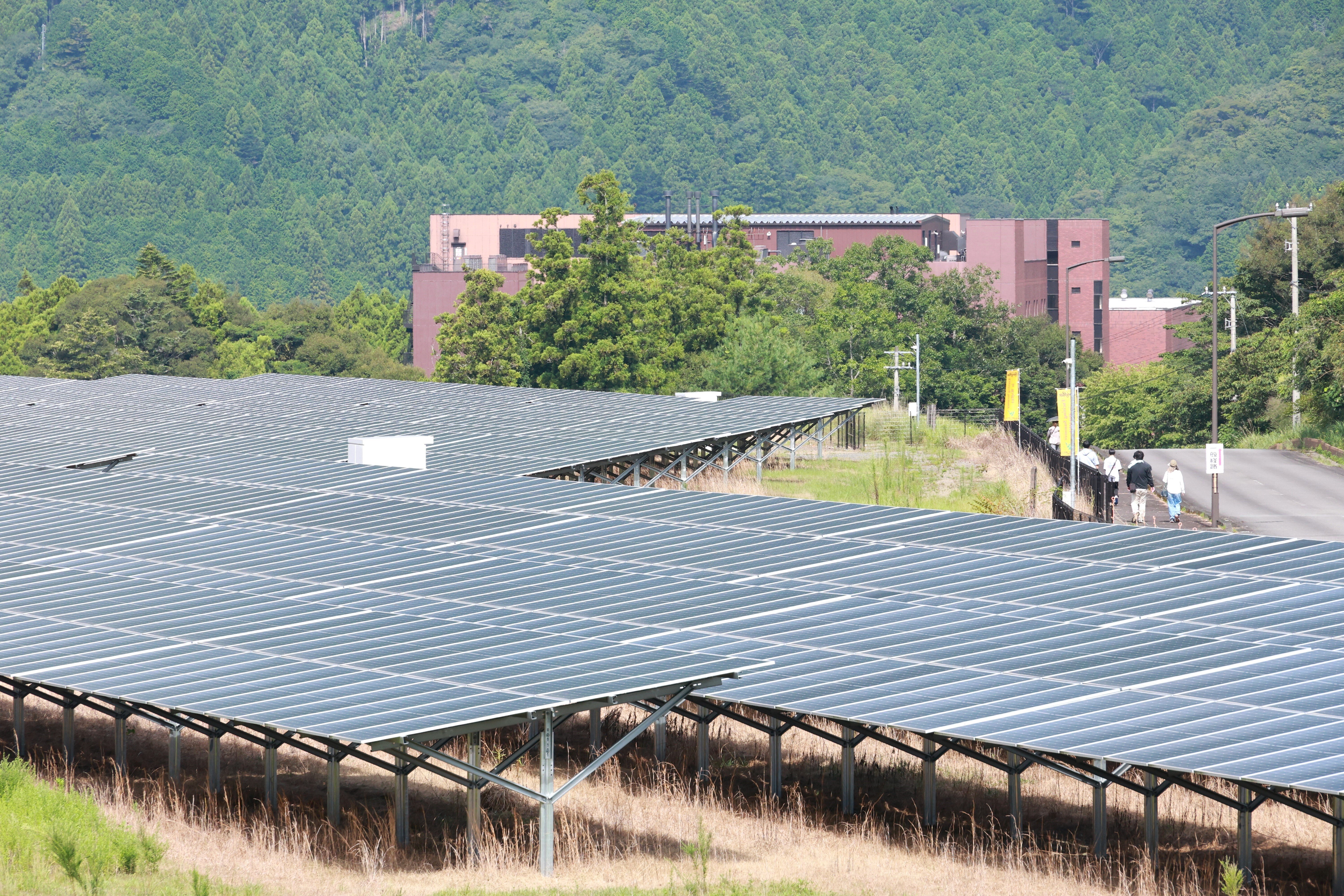 【Emerald】NN駒場東邦 2024年度 後期教材全て Emerald様専用】NN駒場東邦 2024年度 後期教材全て