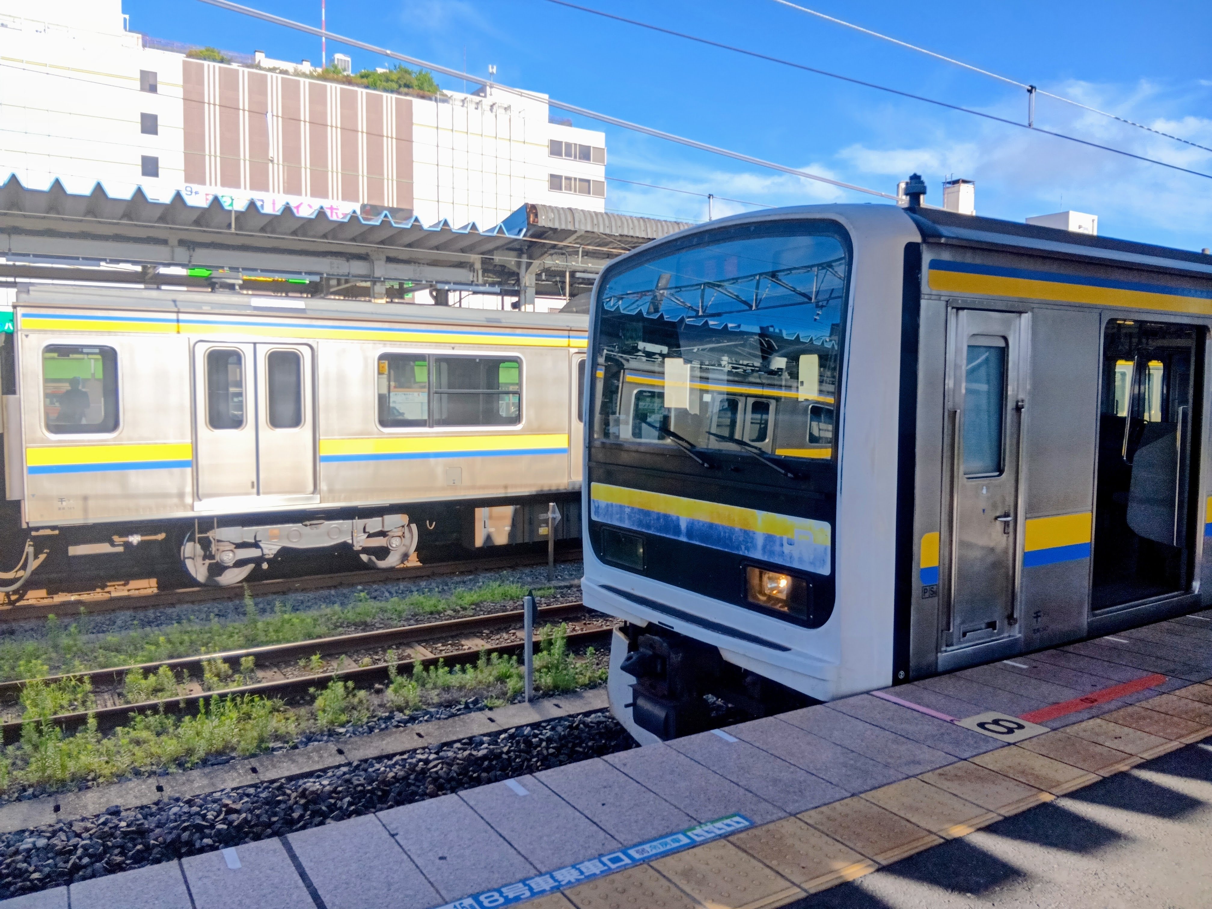 5点≪ロット番号001≫【野洲市A・東近江市B/京丹波町A/亀山市B/若狭町A】 mqdefault.jpg