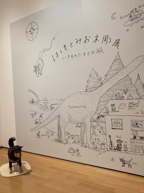 日日是好日日記 猫とか本とか映画とか：Vol. 38 感動すること｜にら