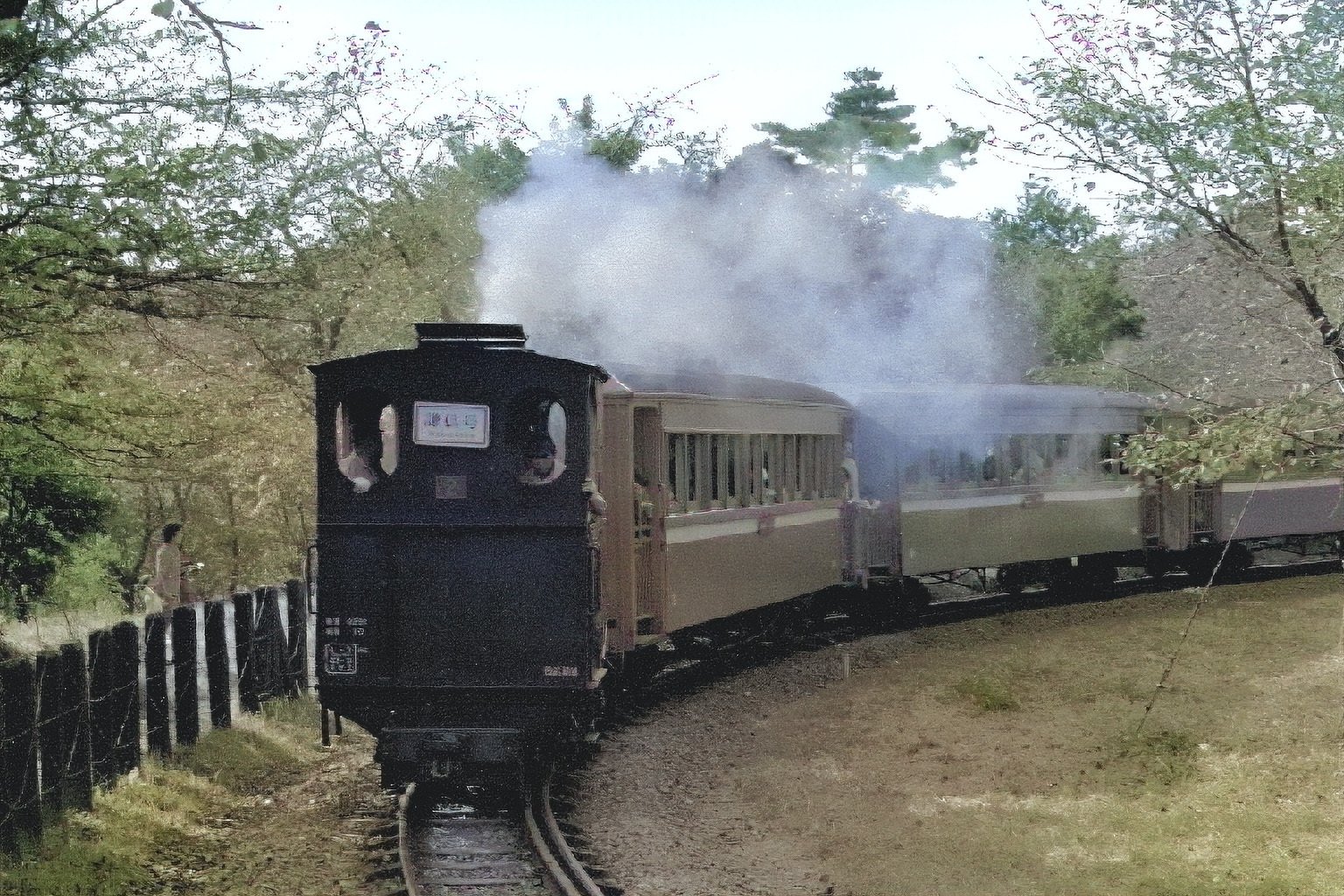v058, 西武山口線のSL（1976年）｜ひろやん