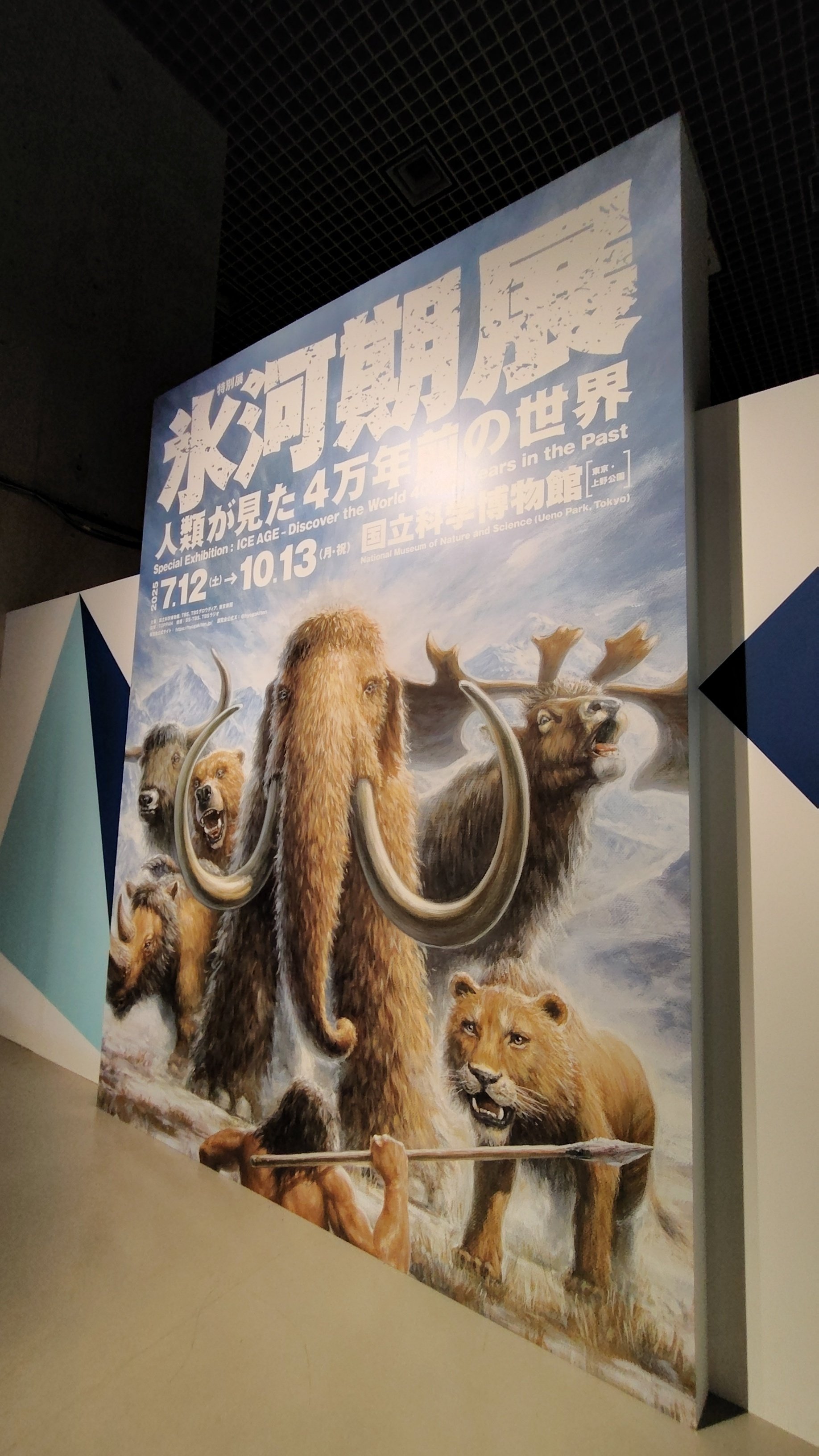 希少　氷河期マンモス標本標本 希少 氷河期マンモス標本標本 氷河期展」東京・国立科学博物館で