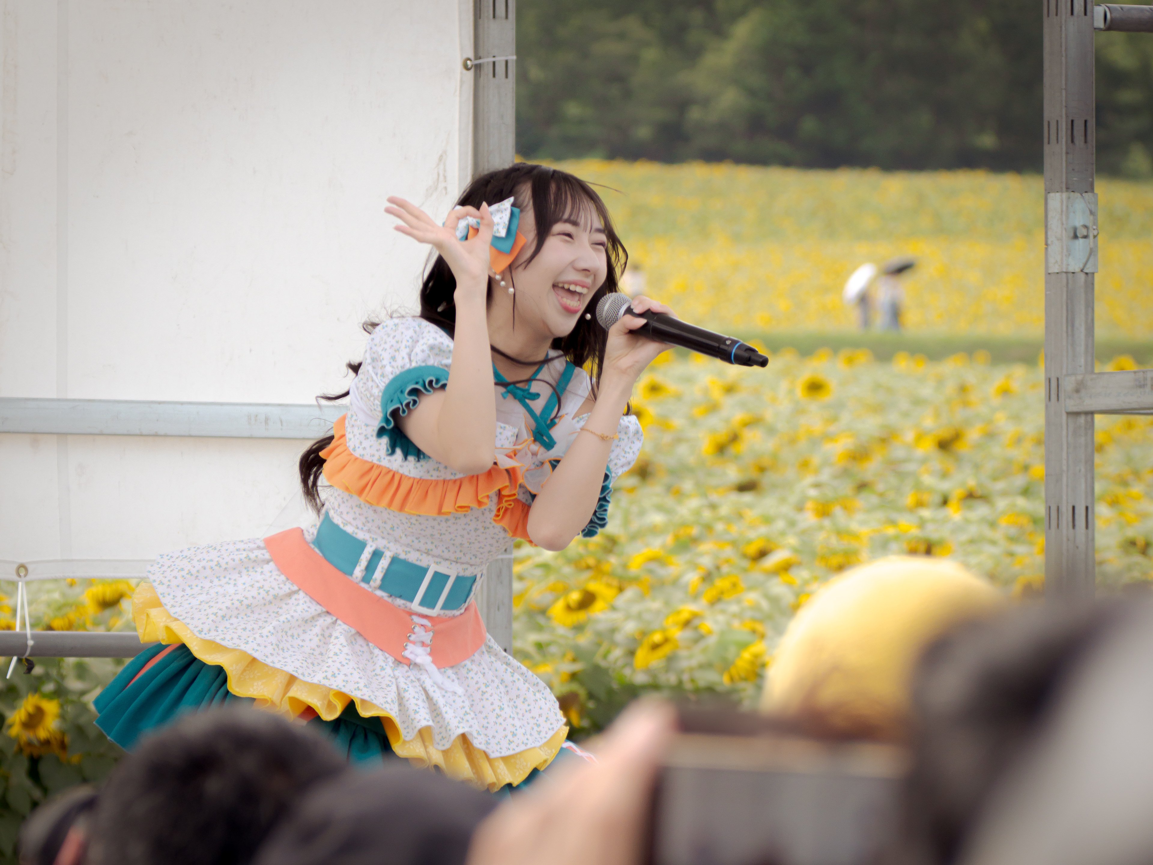 ライブ】2025.8.14 タイトル未定『北竜町ひまわりまつりLIVE