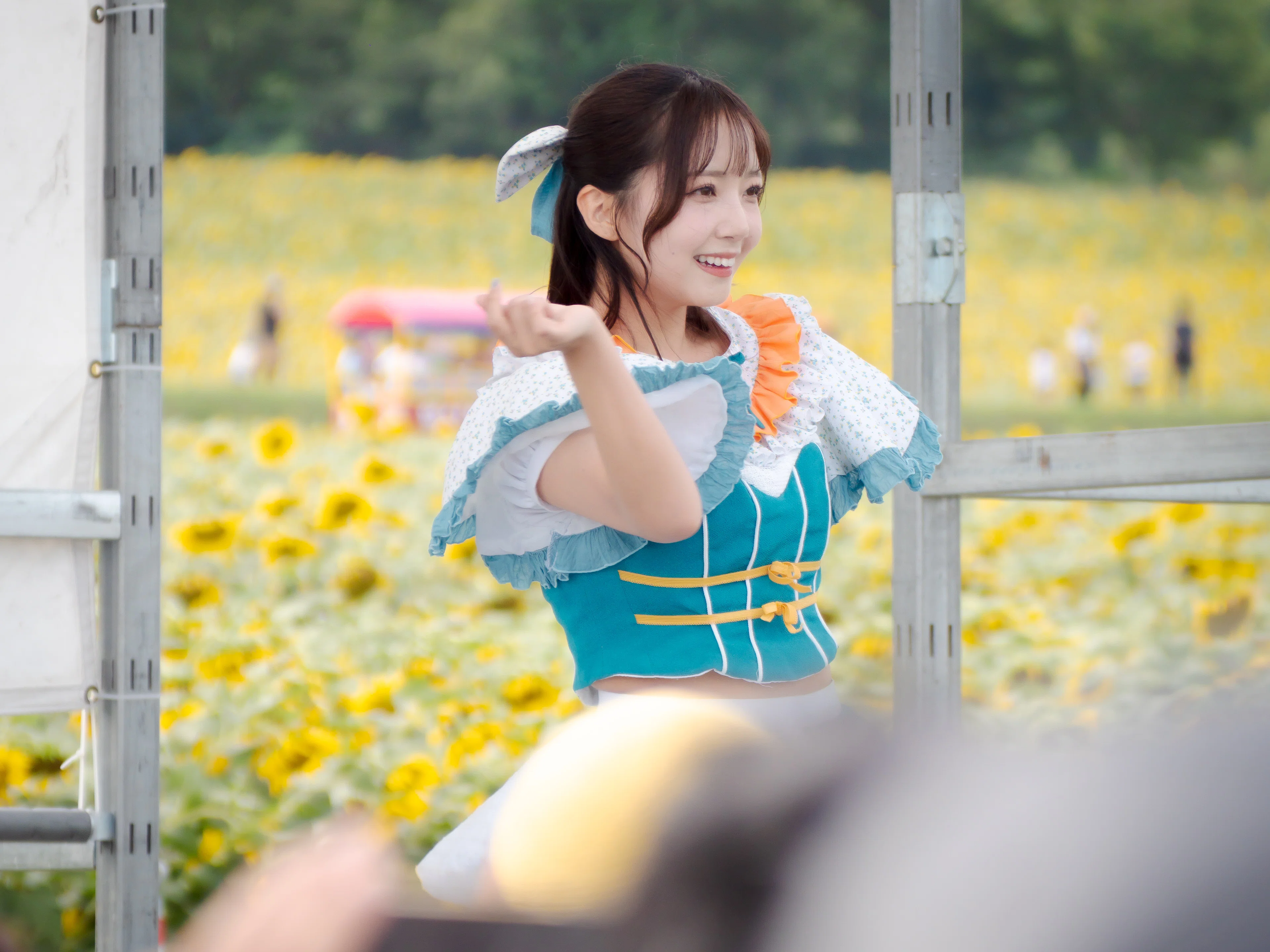 ライブ】2025.8.14 タイトル未定『北竜町ひまわりまつりLIVE