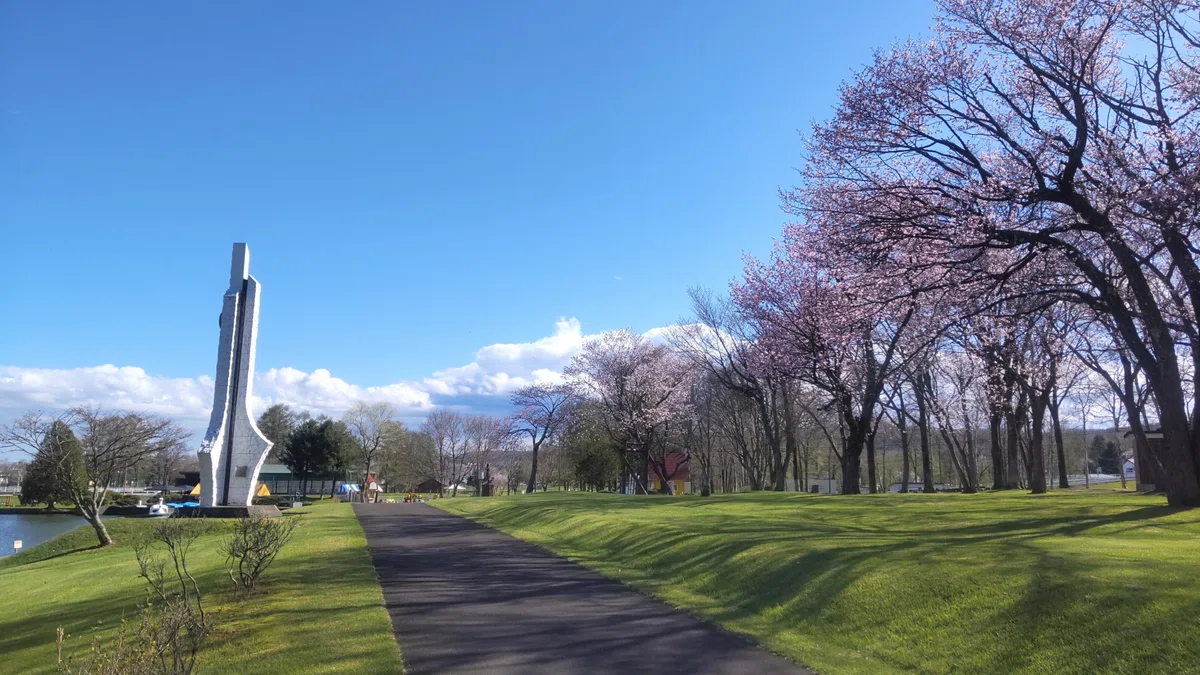 鶴居運動広場の遊歩道と桜の写真
