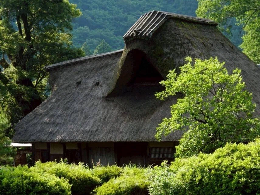 人生見学＃1】築400年の重要文化財の家を守り継ぐ│大学生が