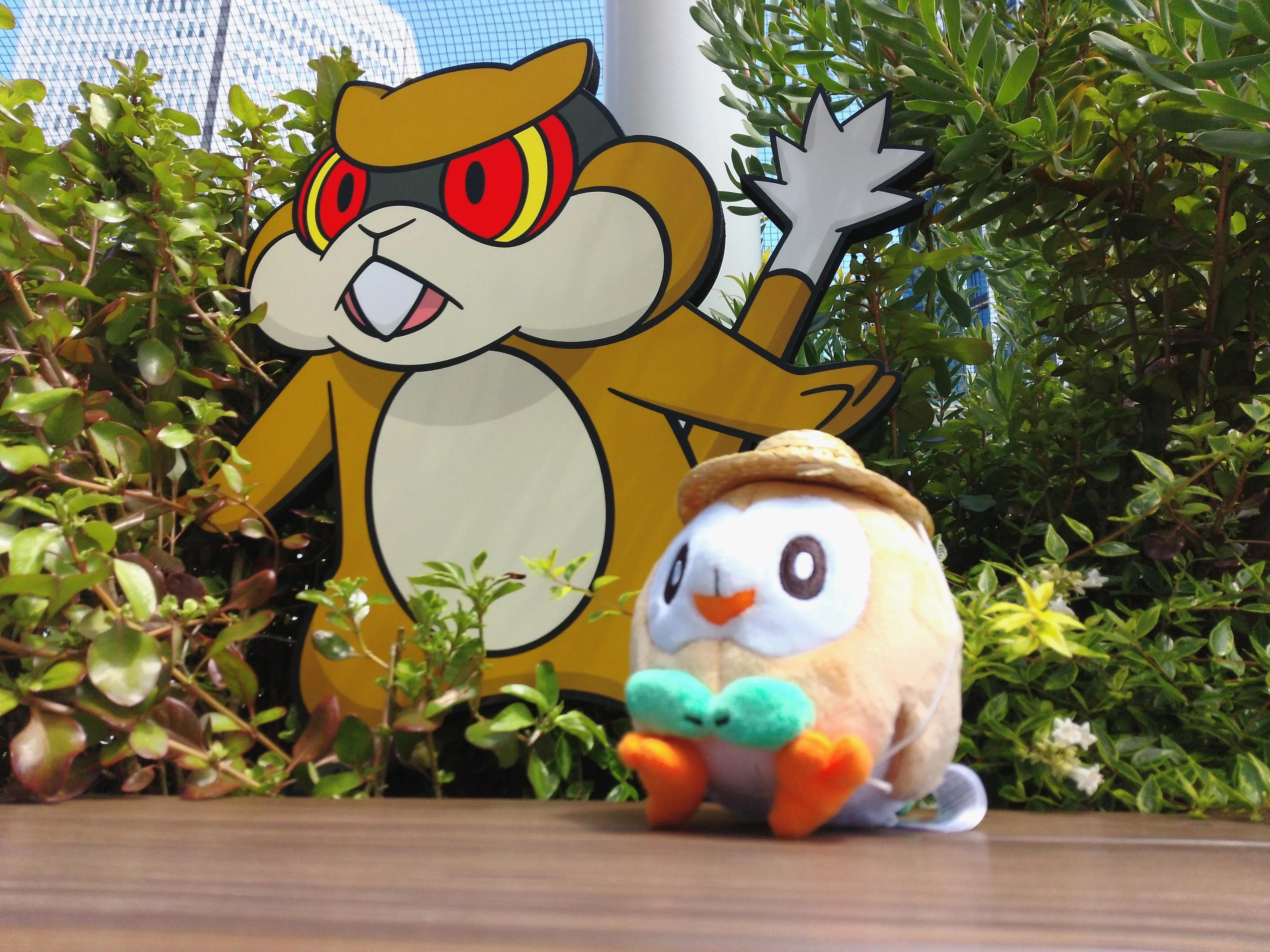 モクローの夏休み【日記】｜かずーのポケふた旅行記